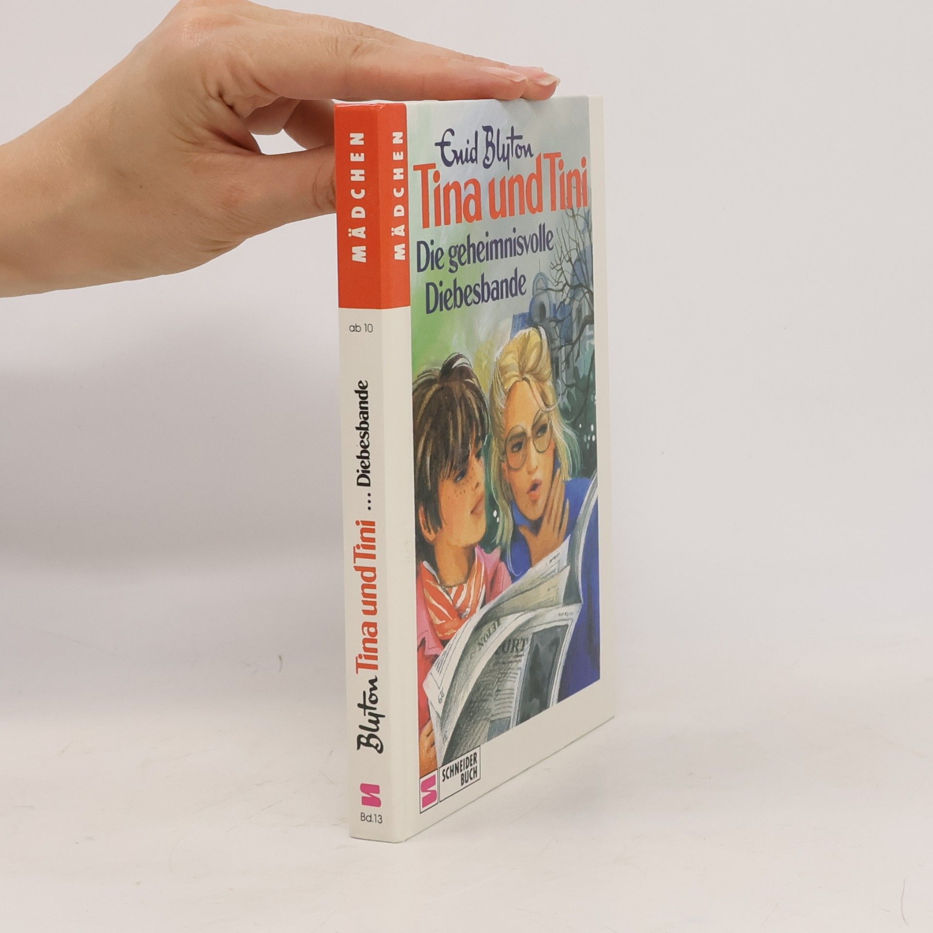 Erid Bluton Tina und Tini: Die geheimnisvolle Diebesbande