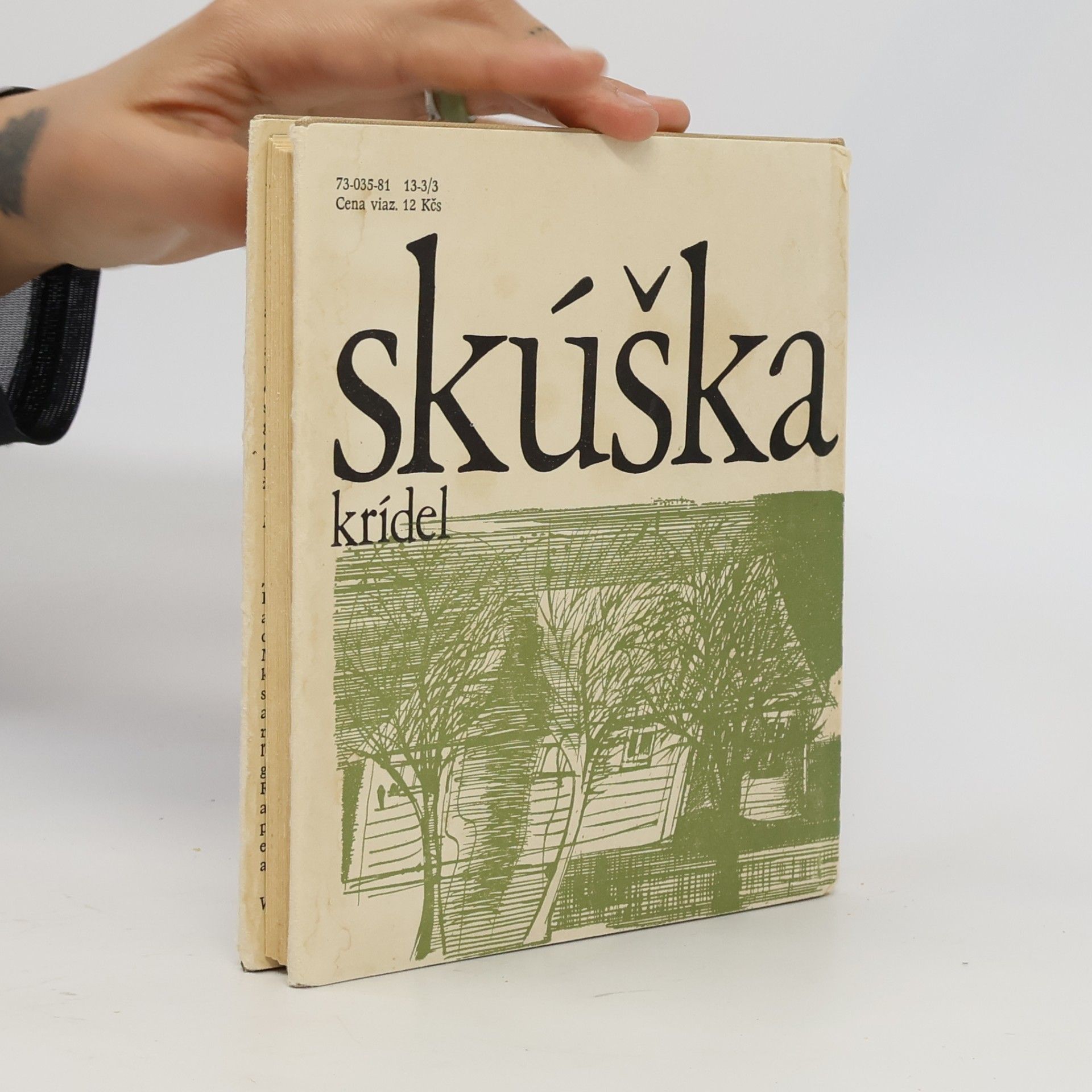 Emília Jalškovská Skúška krídel