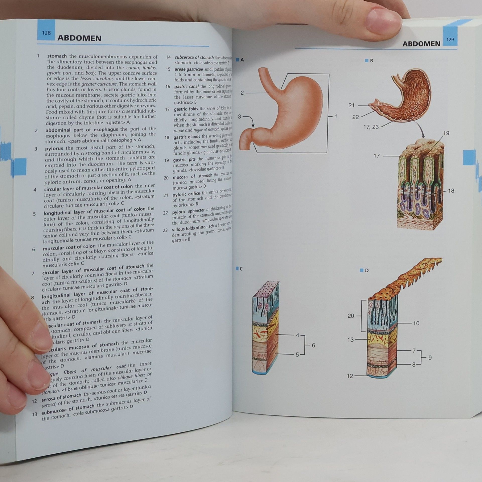 Richard L. Drake Dorland's/Gray's Pocket Atlas of Anatomy