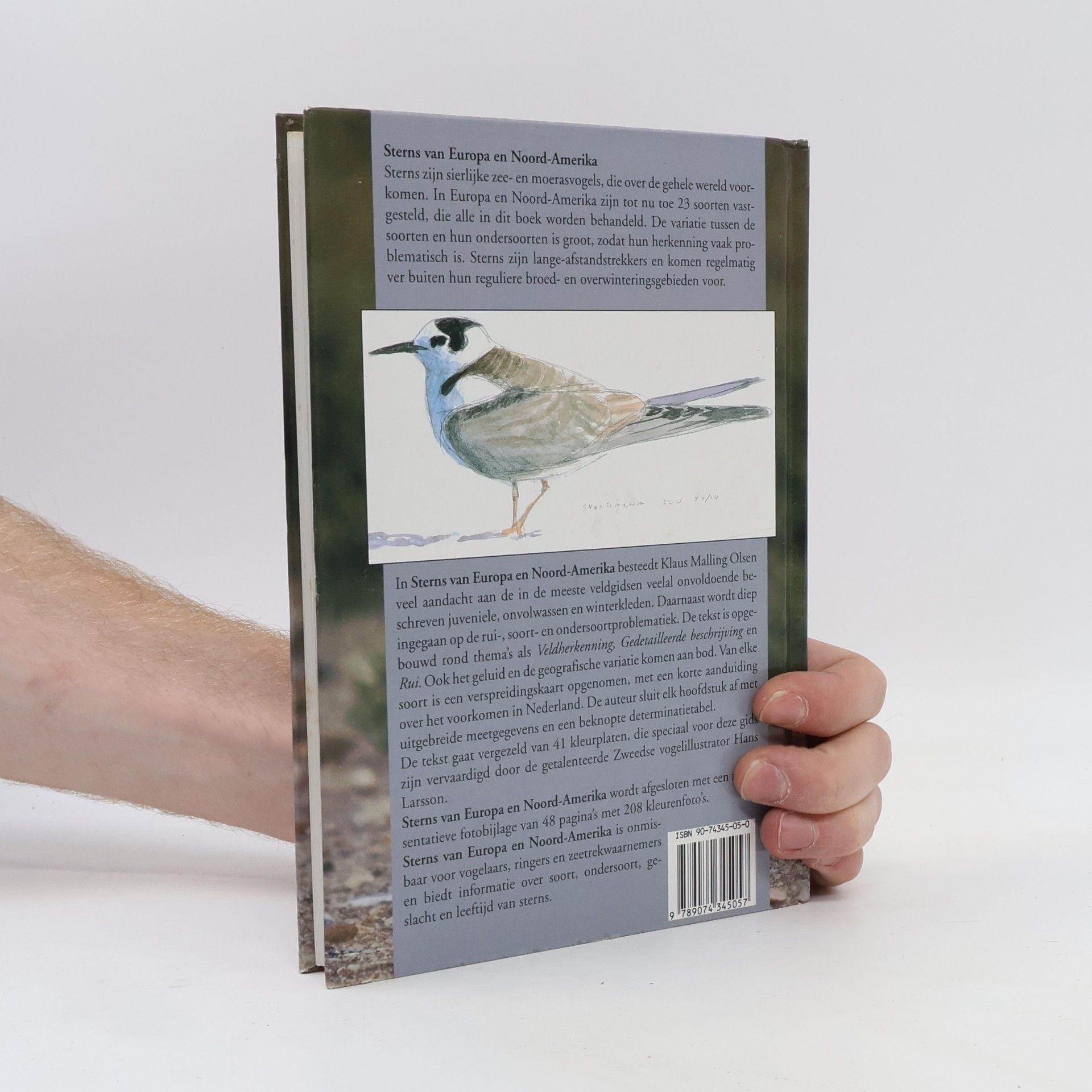 Klaus Malling Olsen Dutch Birding Vogelgids - 3: Sterns van Europa en Noord-Amerika