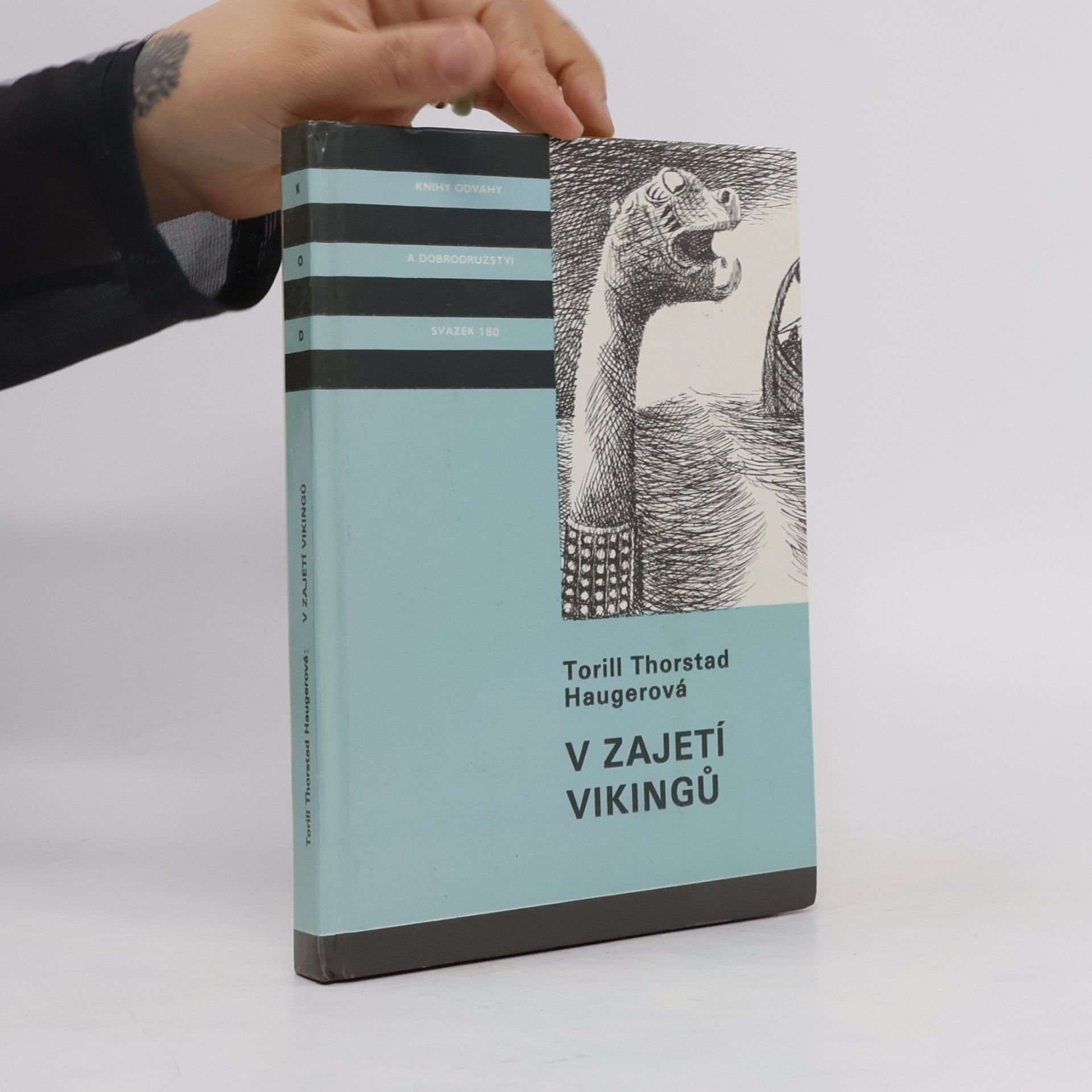 V zajetí vikingů