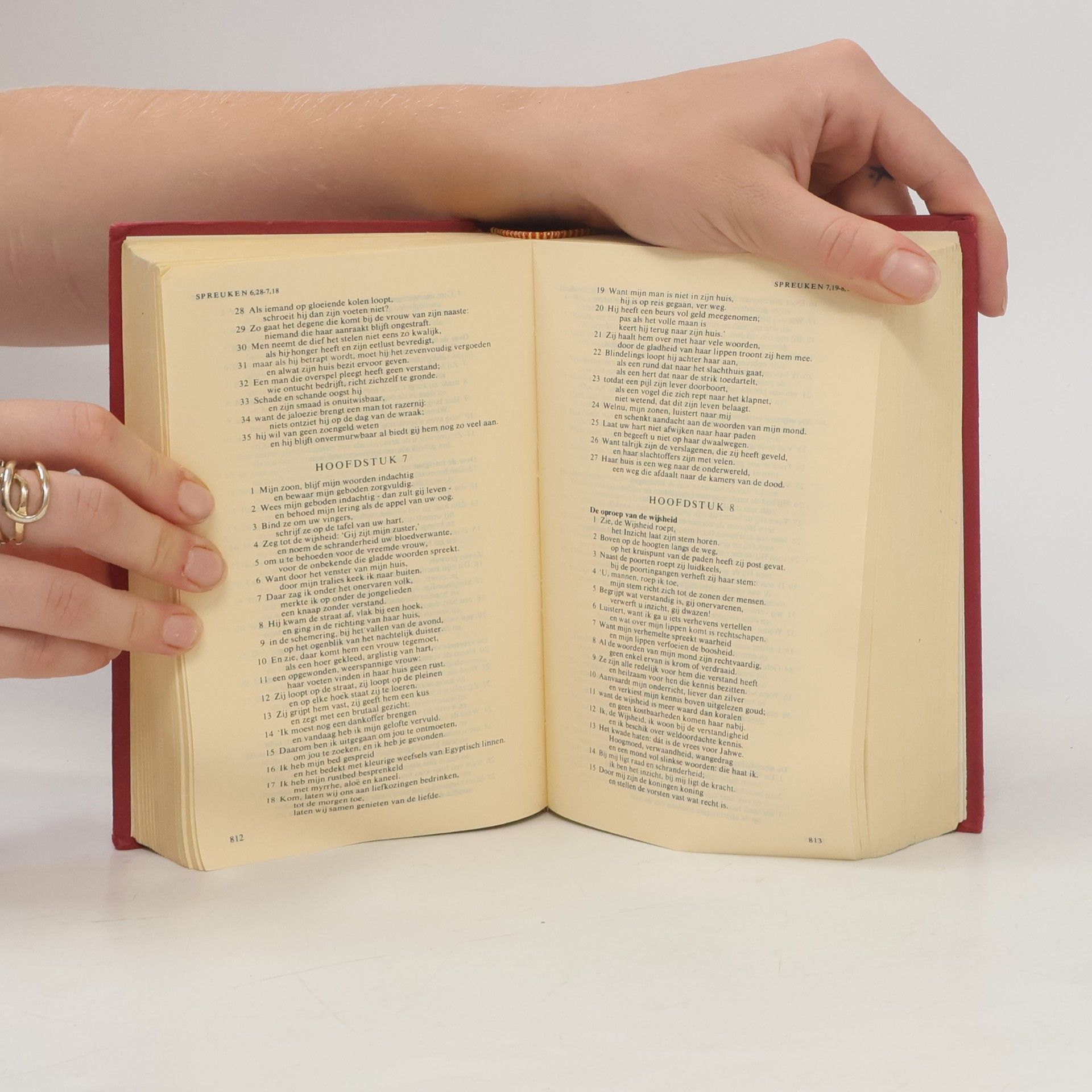 Various authors De Bibel