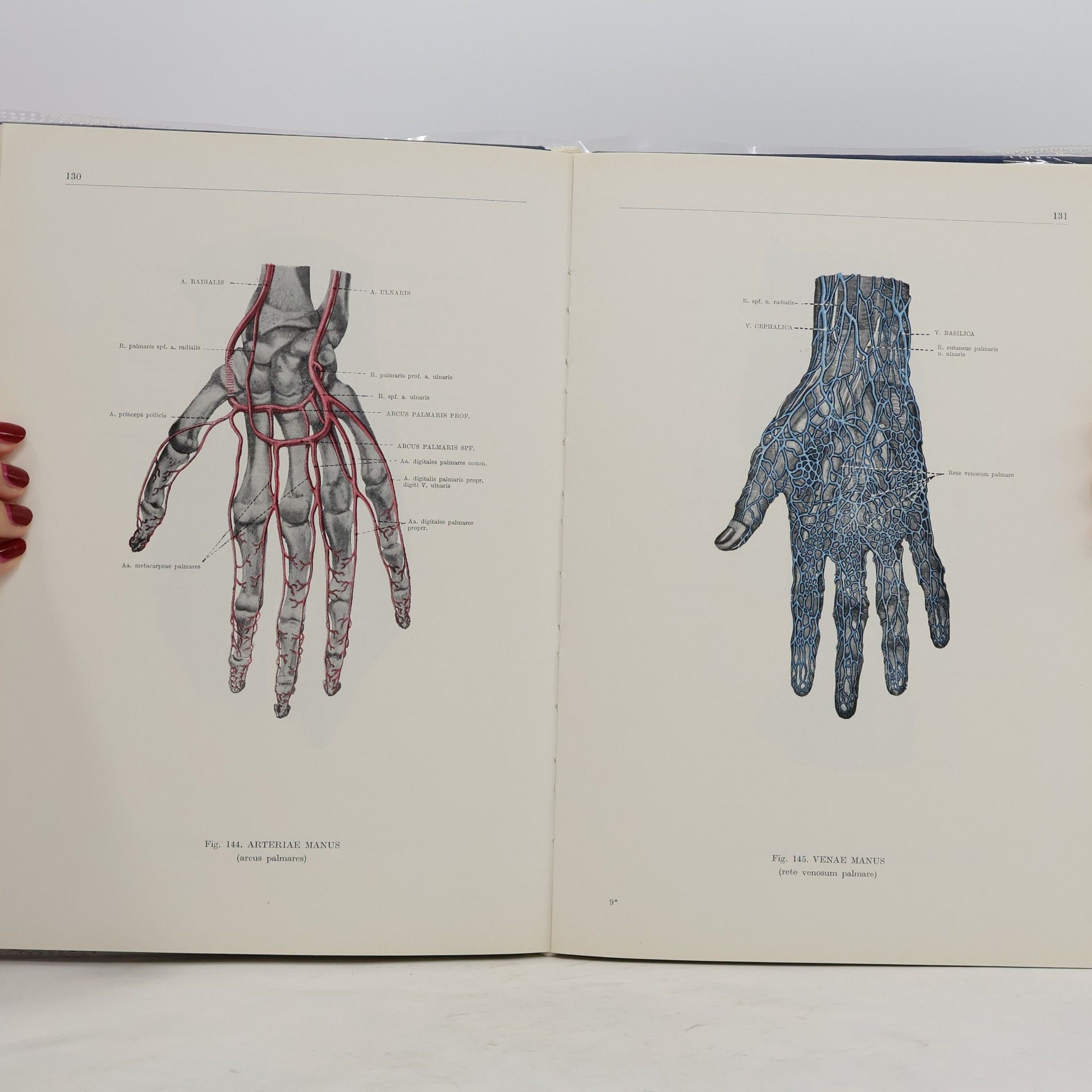Ferenc Kiss Atlas anatómie človeka III