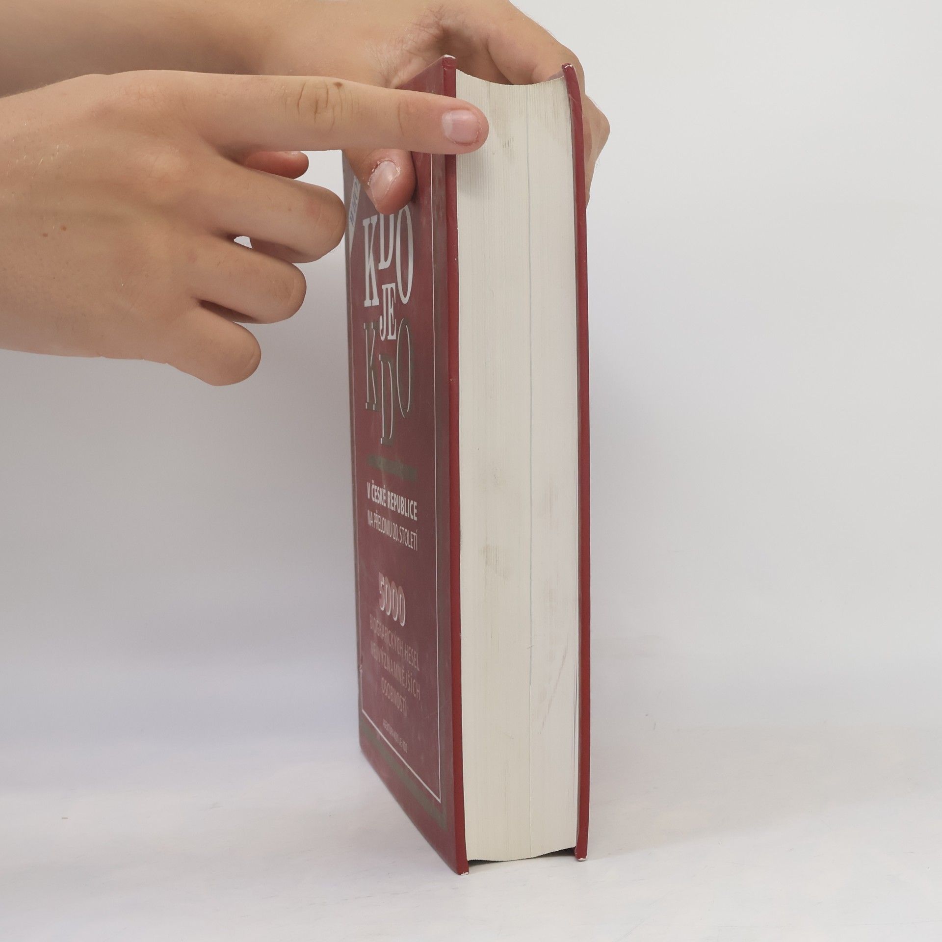 Autorenkollektiv Kdo je kdo v České republice na přelomu 20. století