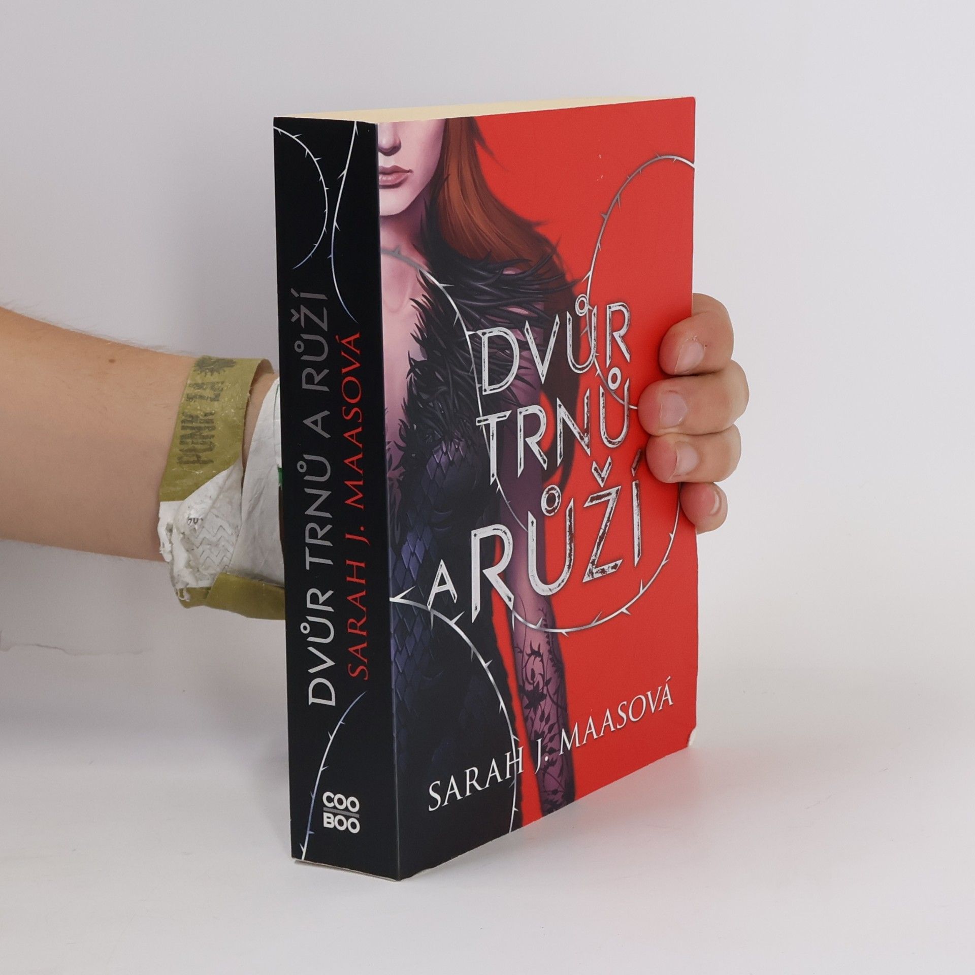Sarah J. Maas Dvůr trnů a růží