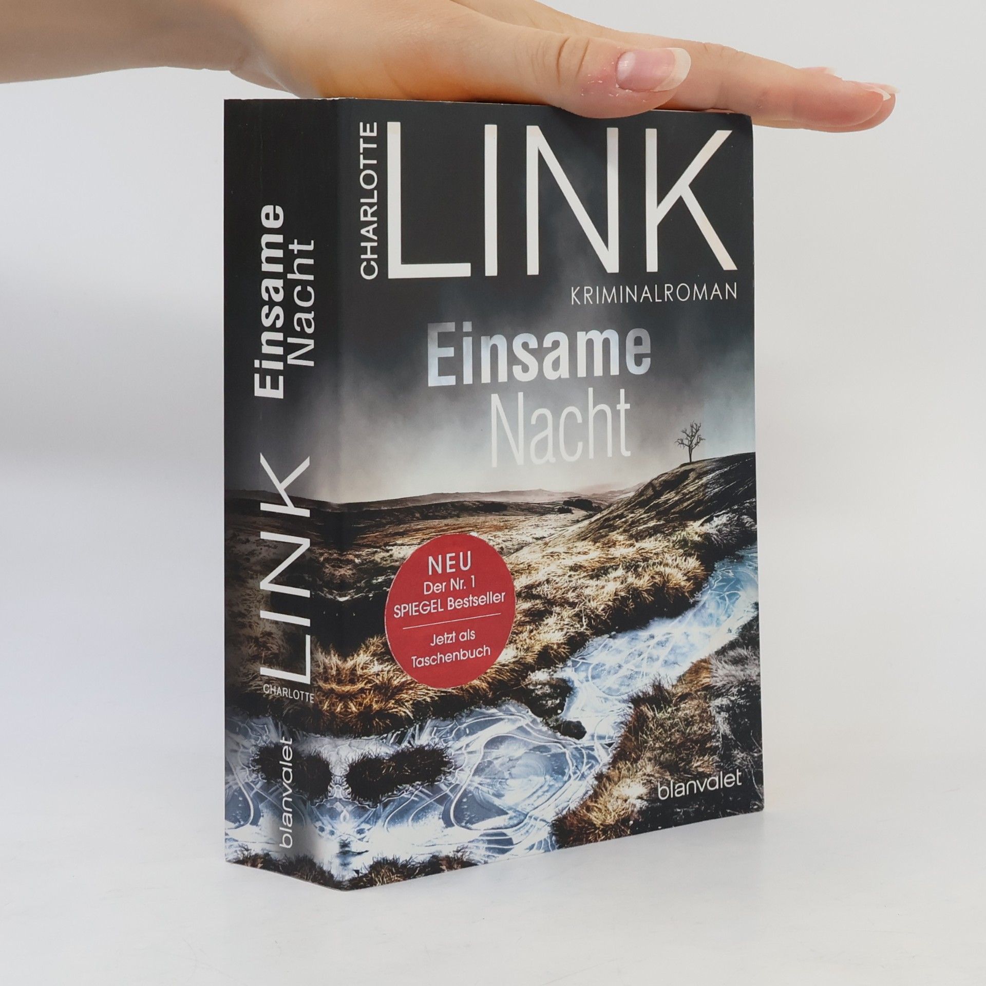 Charlotte Link Einsame Nacht