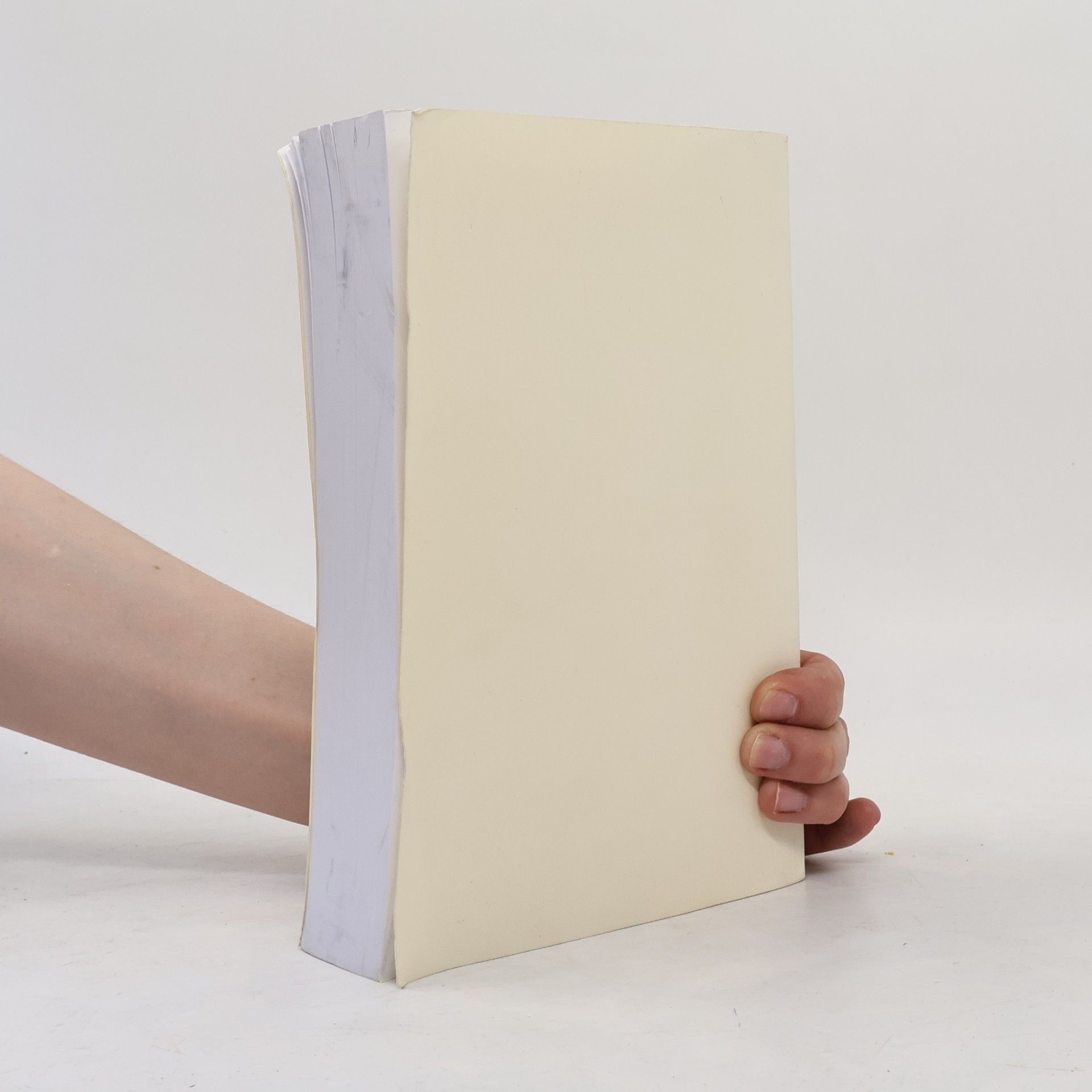 Tana French L'Invité sans visage