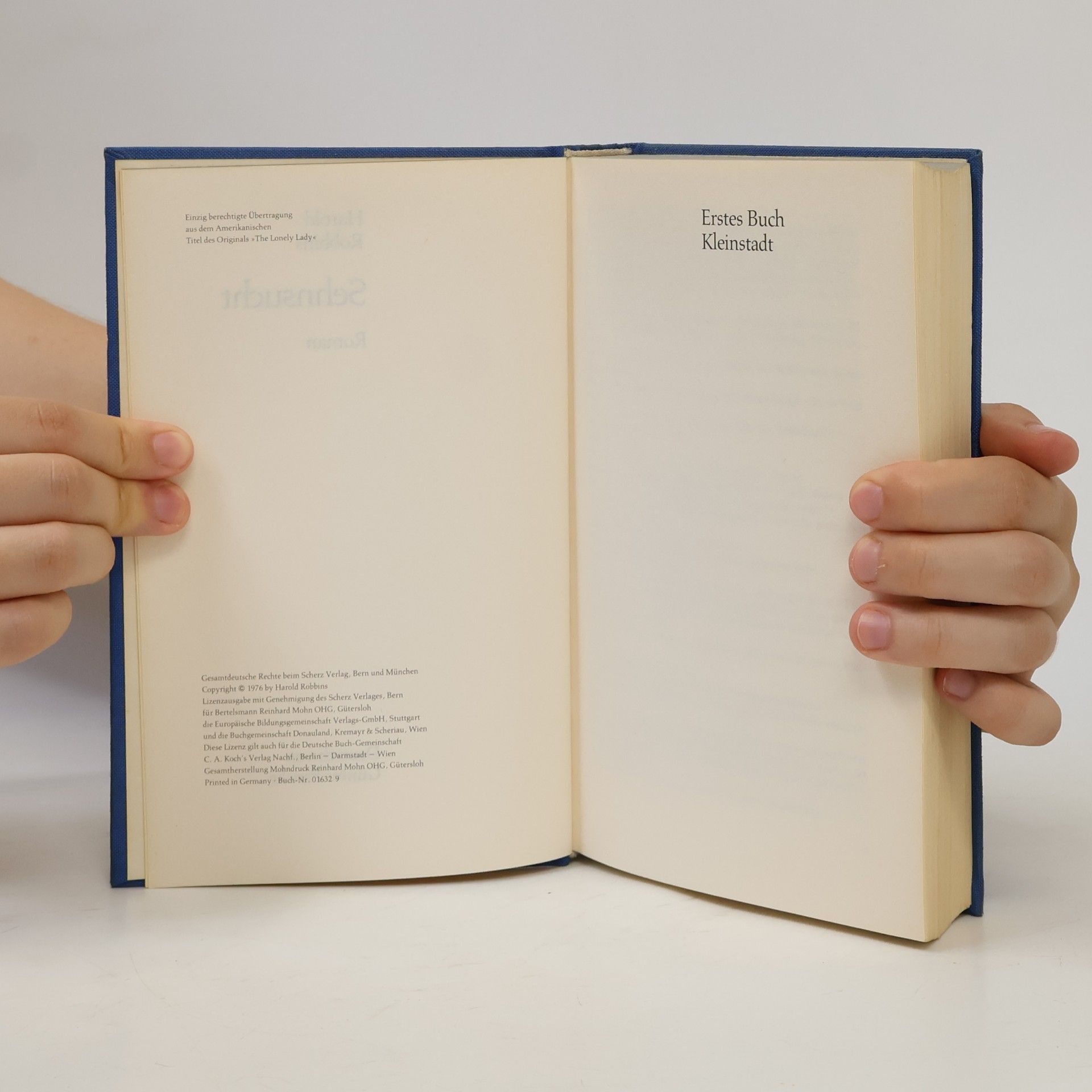 Harold Robbins Sehnsucht