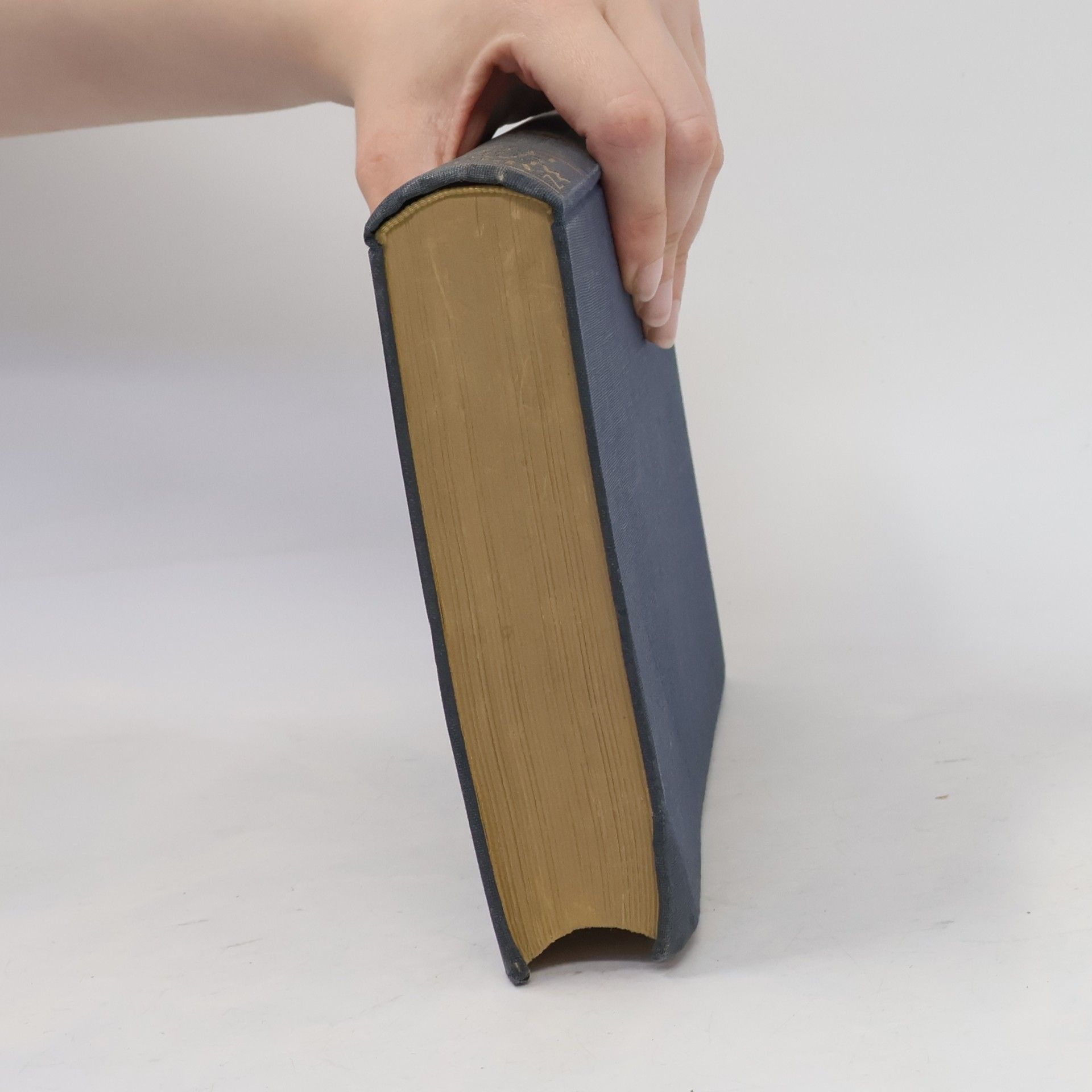 Autorenkollektiv Napoleon. Die Memoiren seines Lebens. Band 5