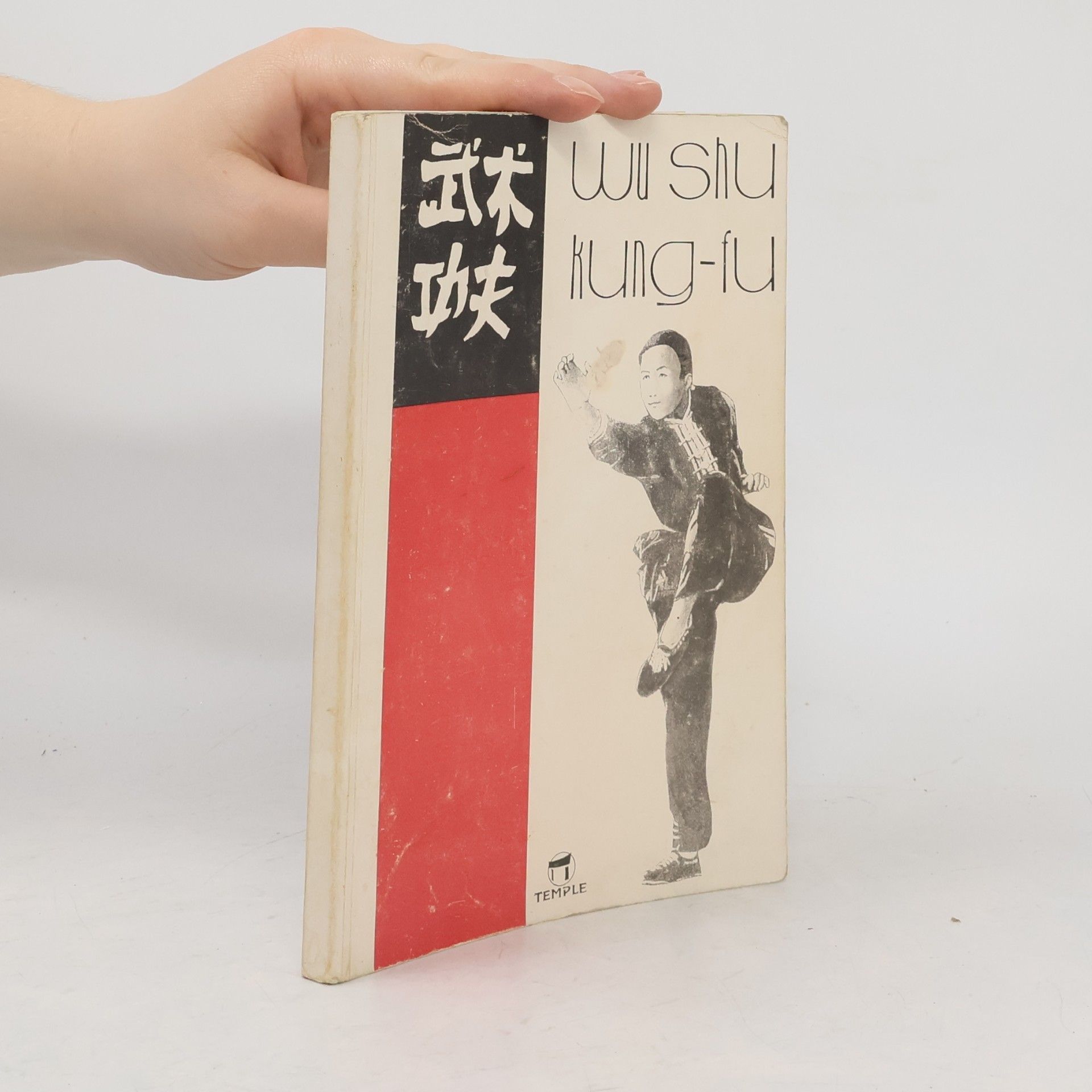 Pavel Brabec Wu shu. Kung-fu