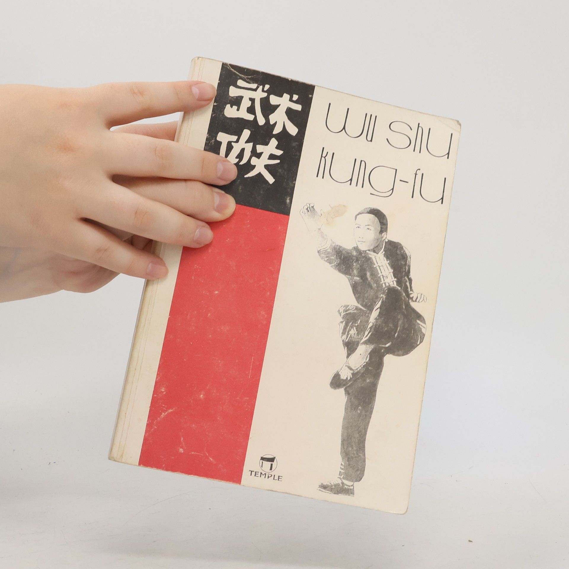 Pavel Brabec Wu shu. Kung-fu