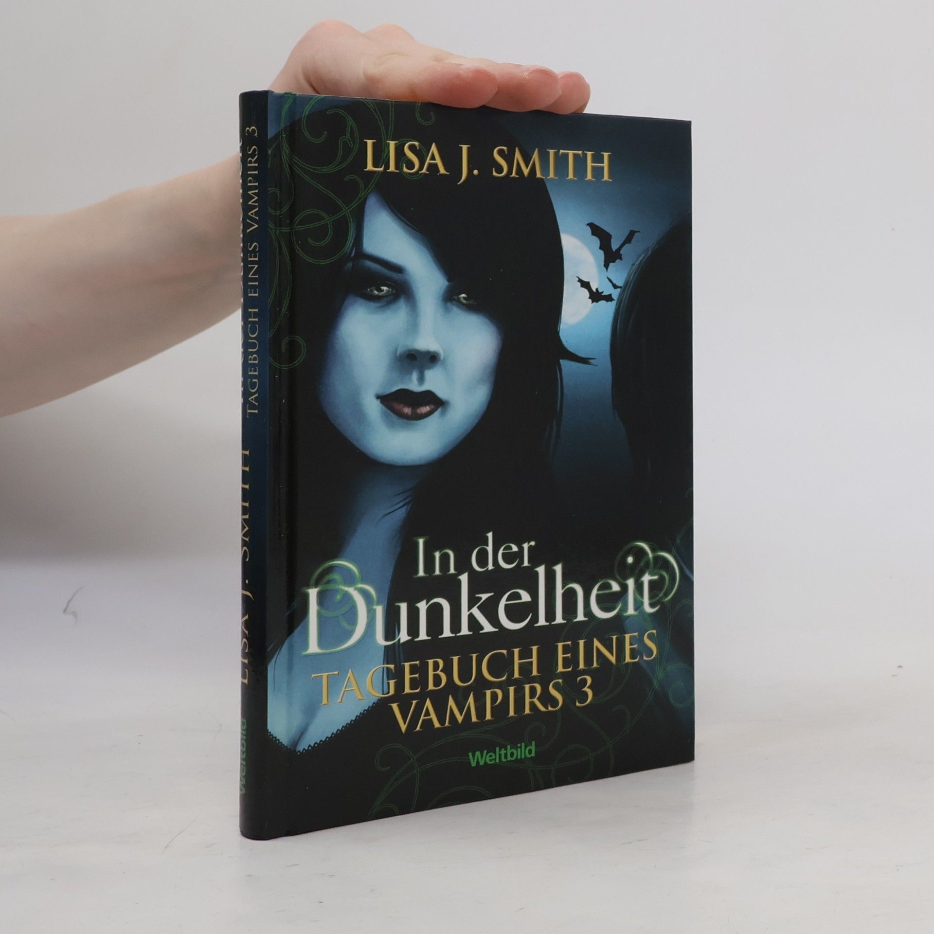 Tagebuch eines Vampirs 3. In der Dunkelheit