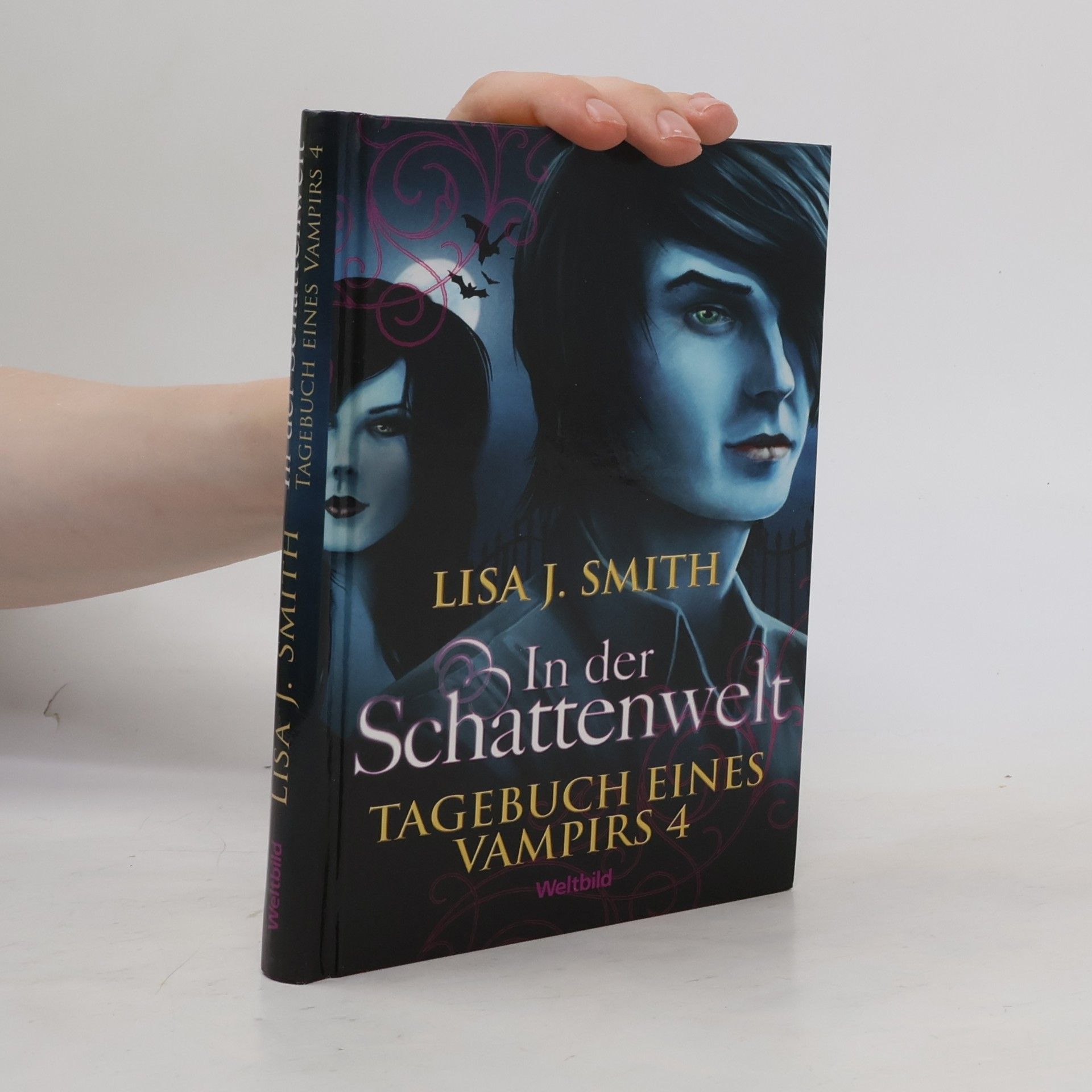 Tagebuch eines Vampirs 4. In der Schattenwelt
