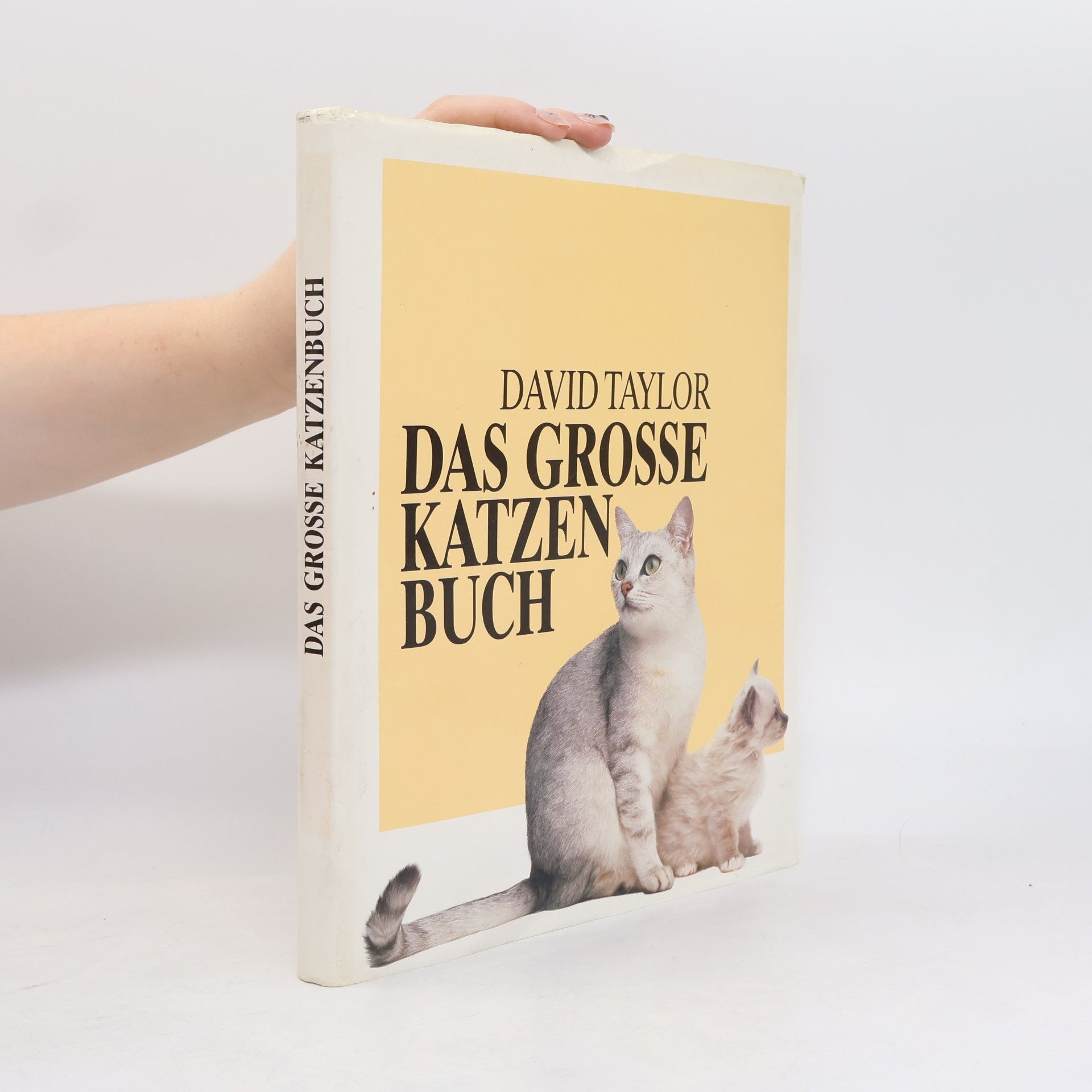 David Taylor Das Grosse Katzenbuch