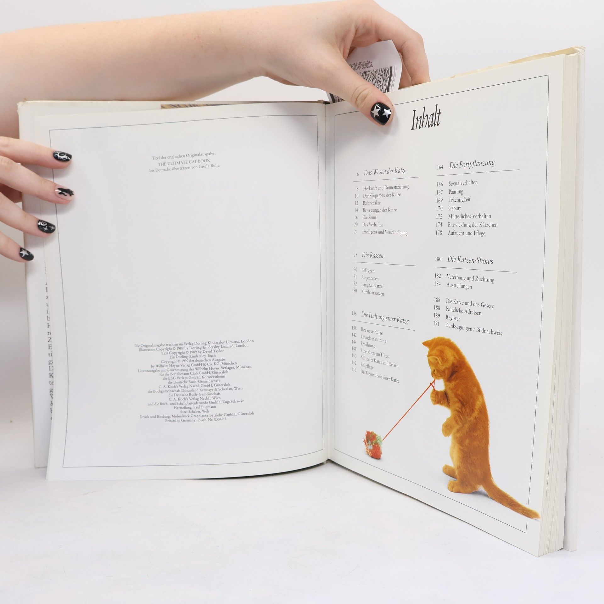 David Taylor Das Grosse Katzenbuch