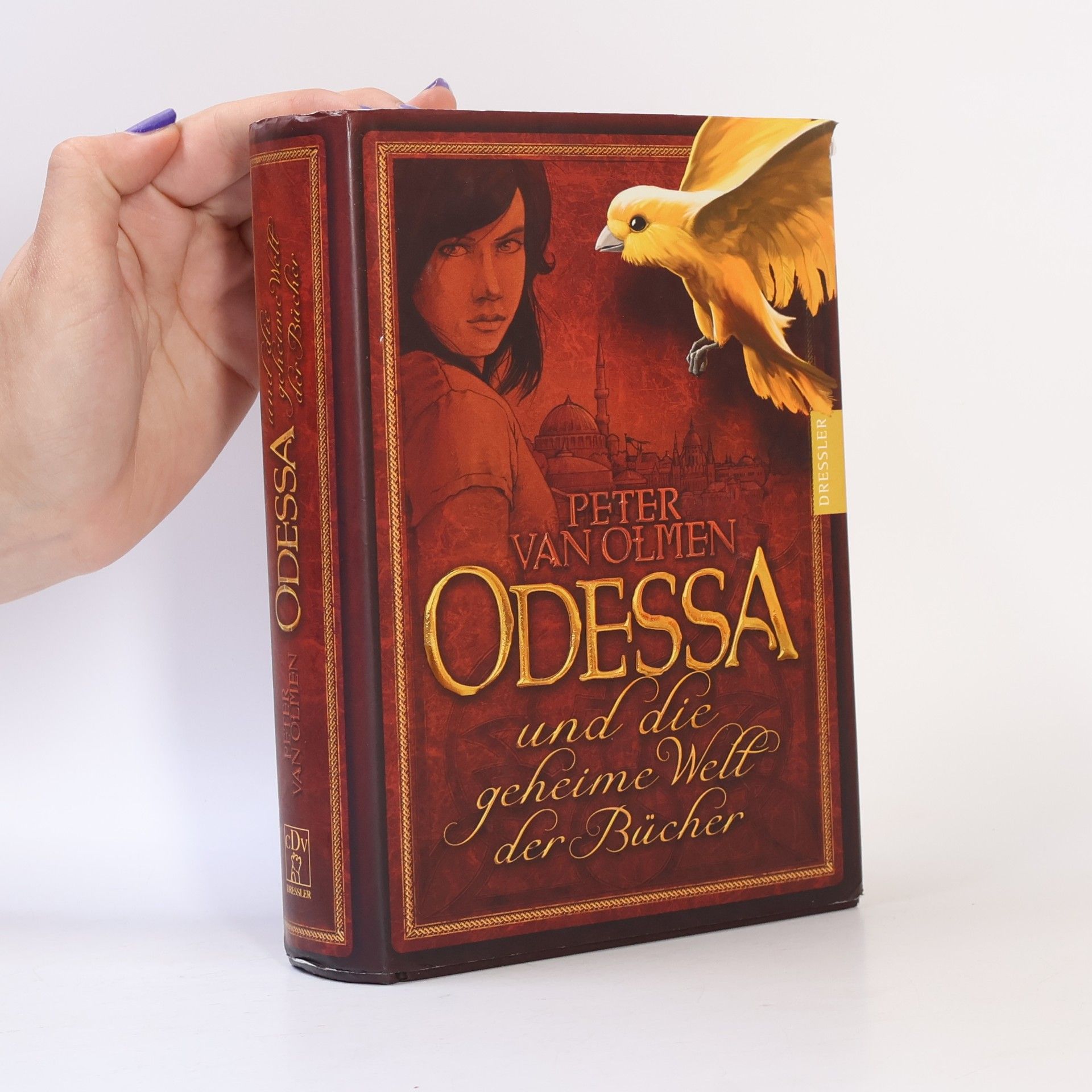 Peter Van Olmen Odessa und die geheime Welt der Bücher
