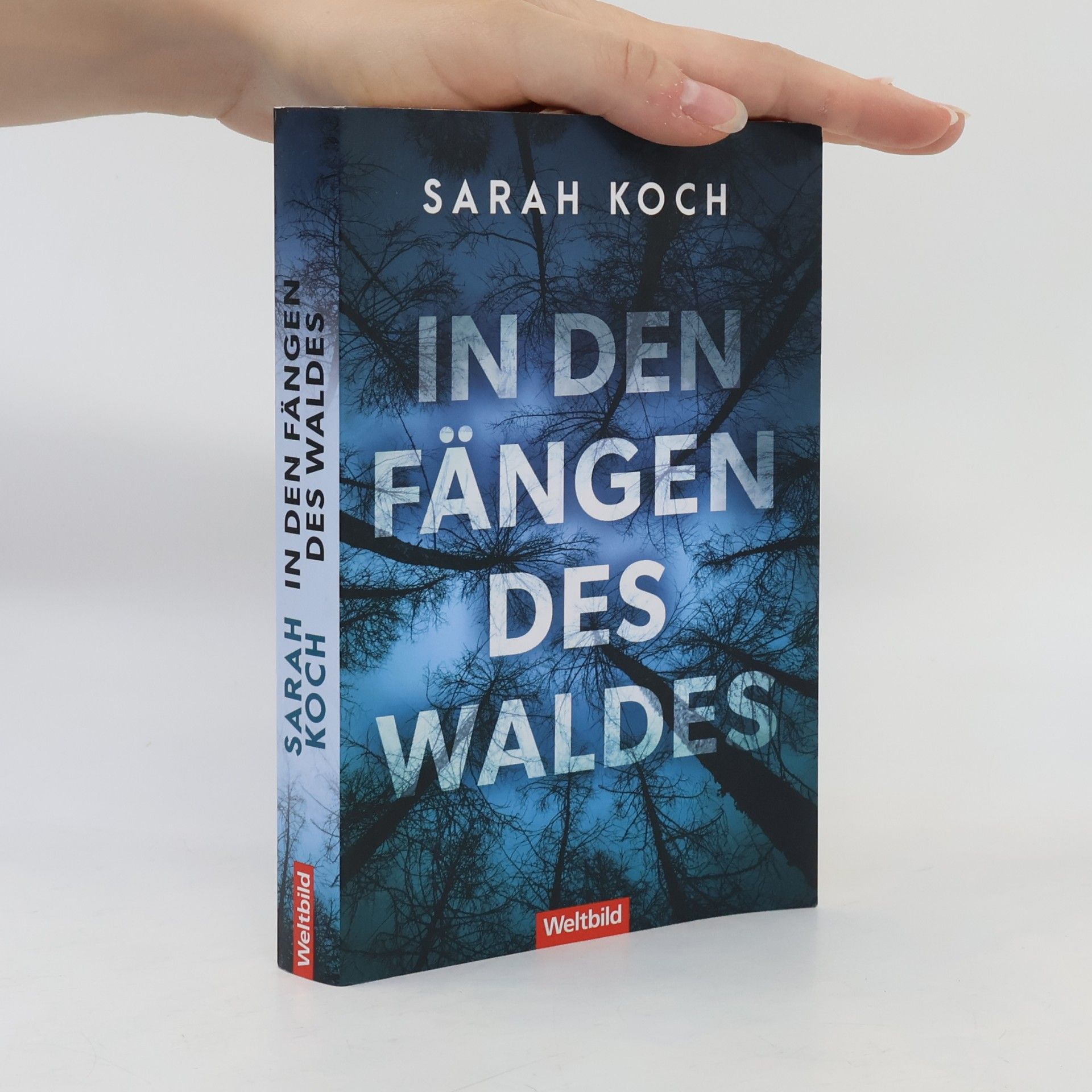 In den Fängen des Waldes