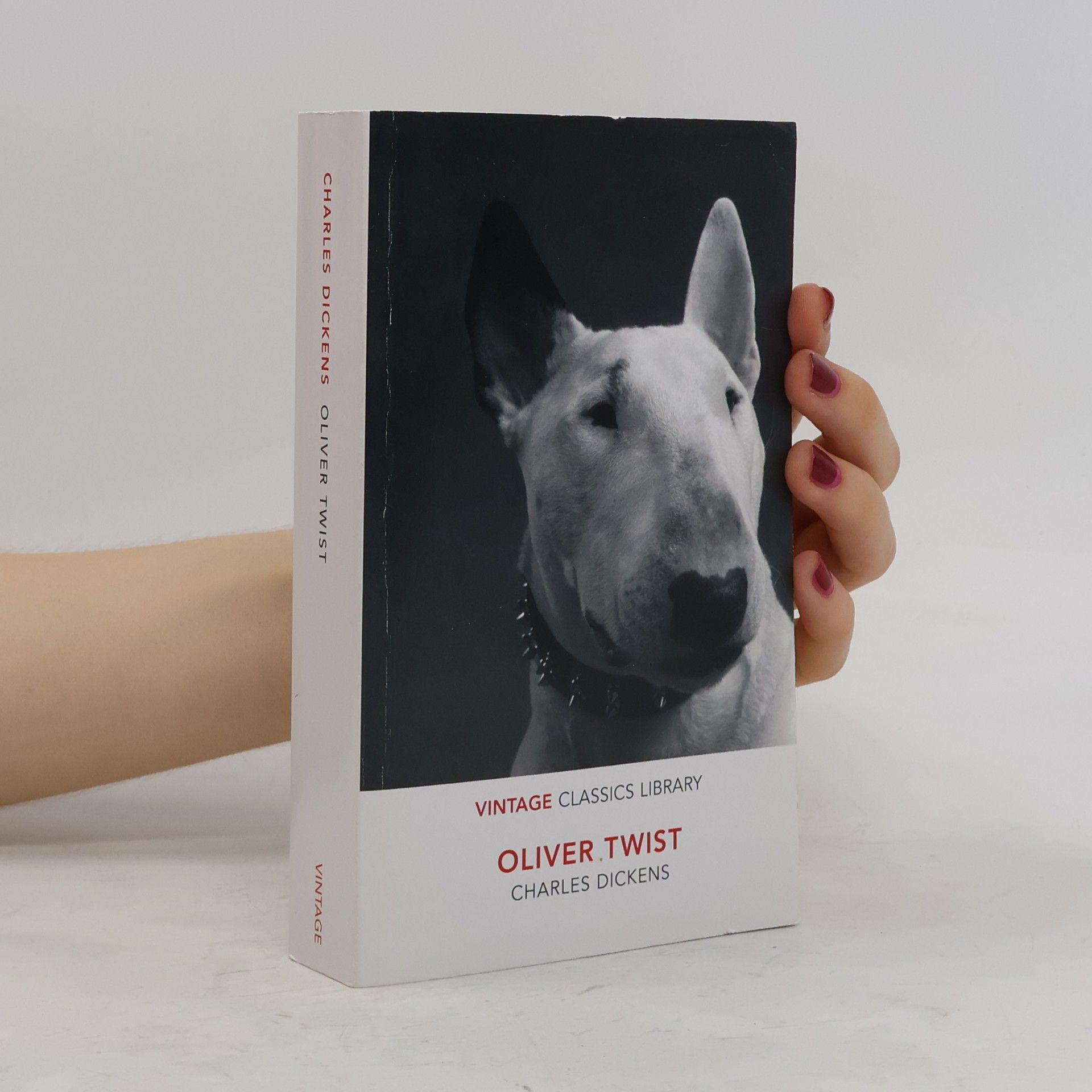 Charles Dickens Oliver Twist