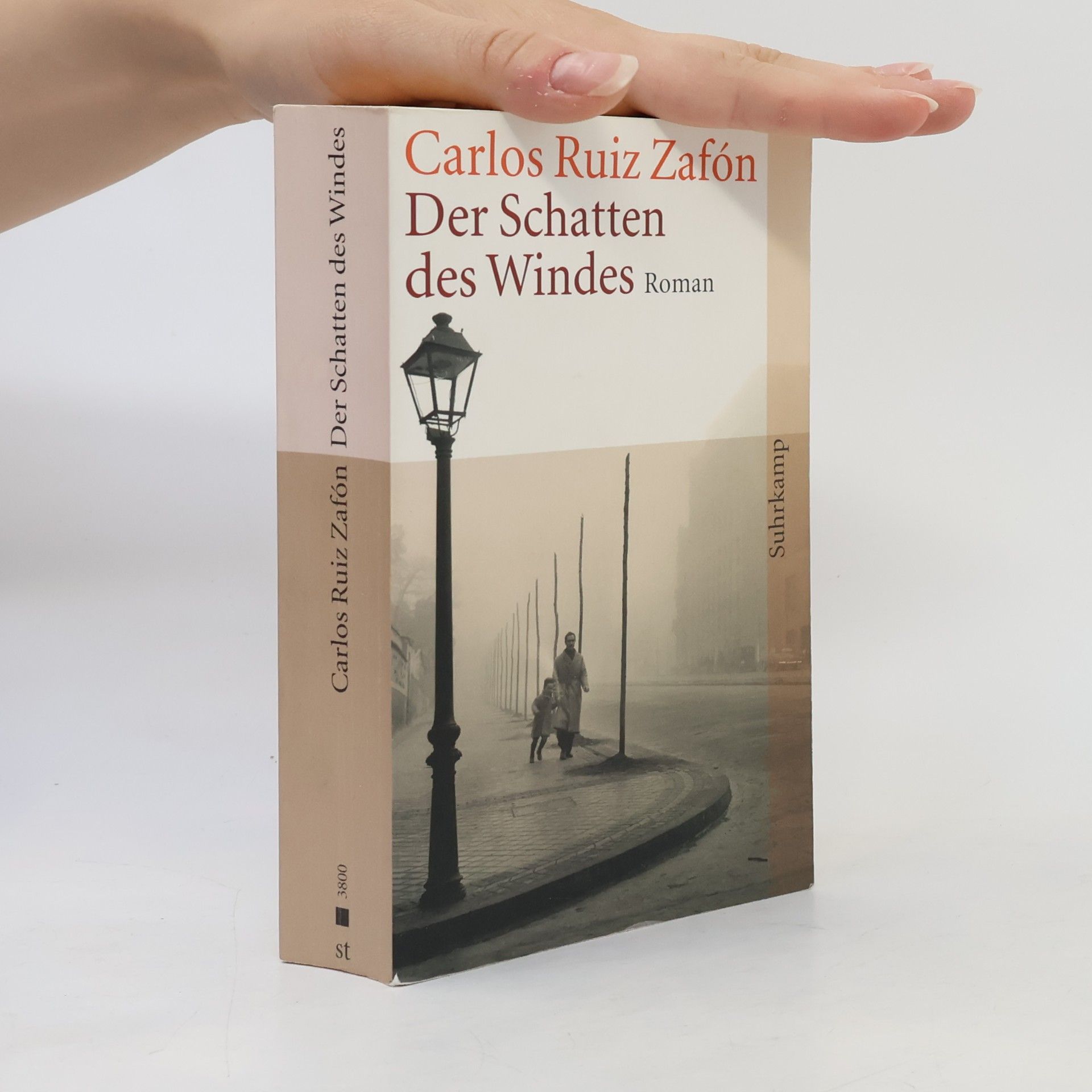 Der Schatten des Windes