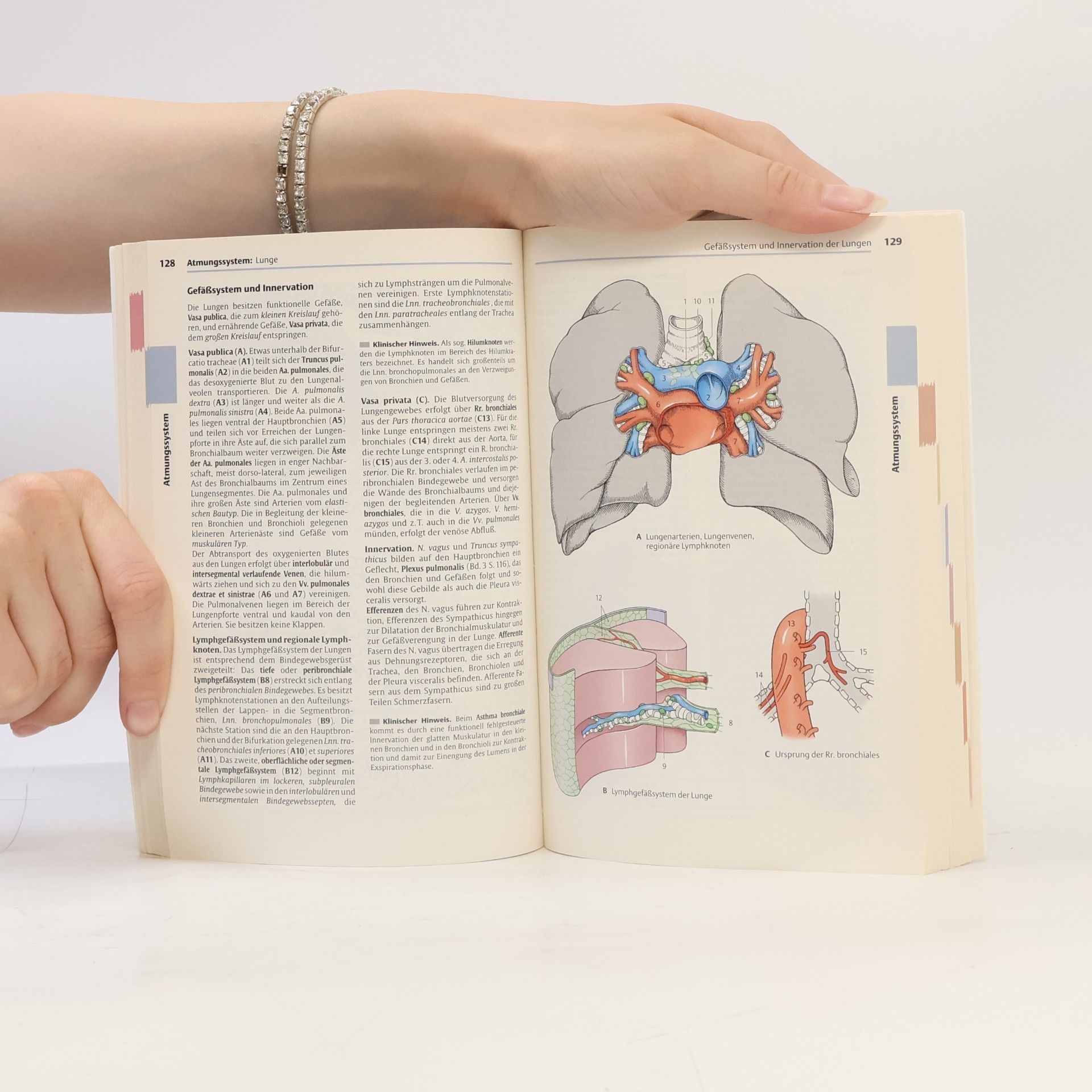 Helga Fritsch Taschenatlas der Anatomie