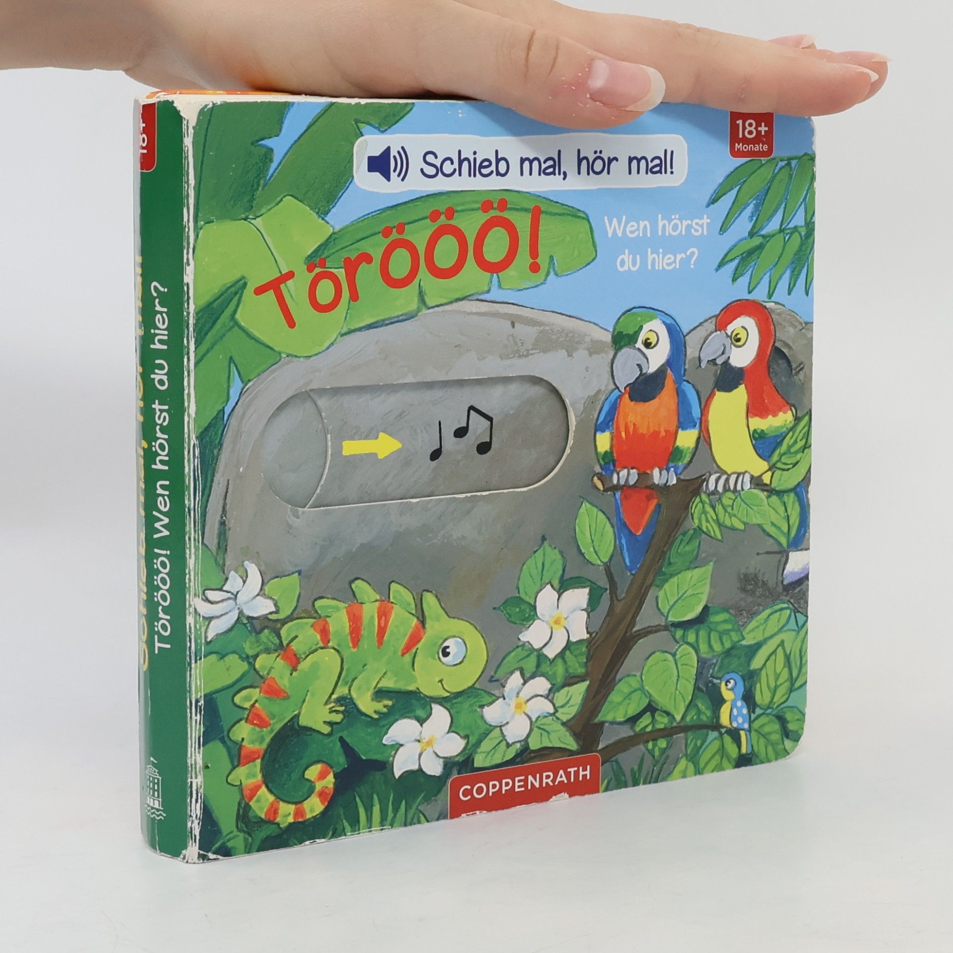 Antje Flad Schieb mal, hör mal!: Törööö! Wen hörst du hier?
