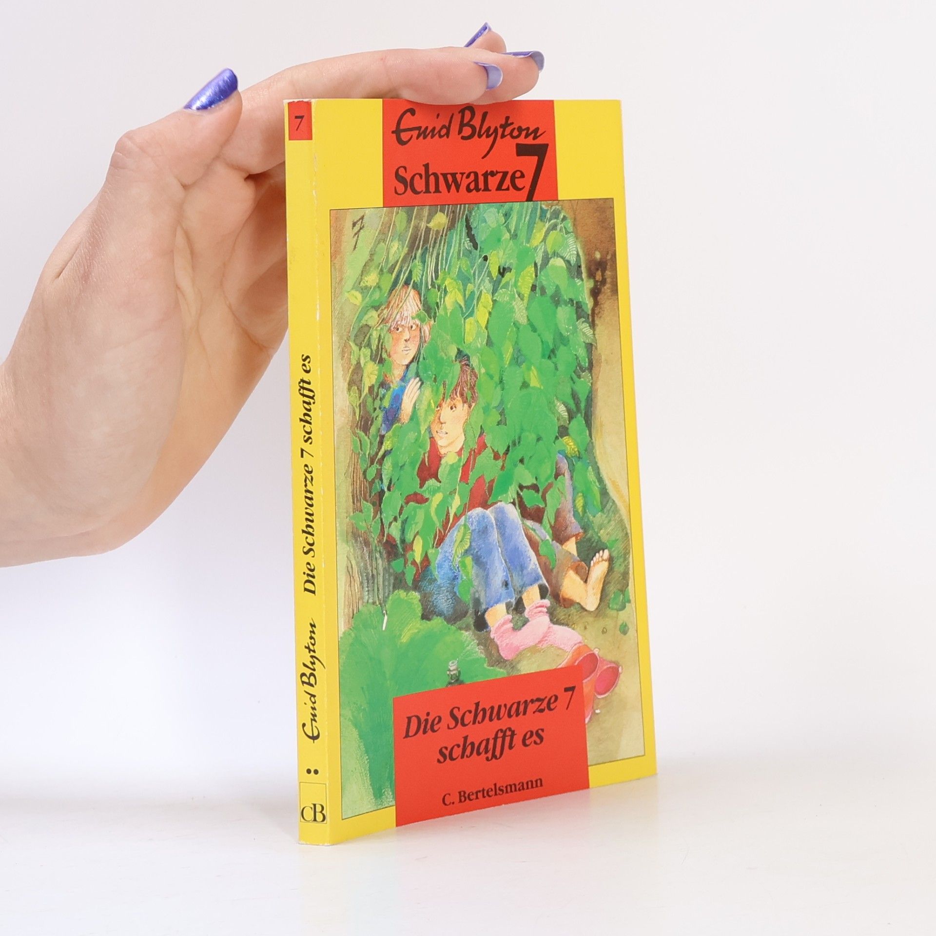 Enid Blyton Die Schwarze Sieben schafft es
