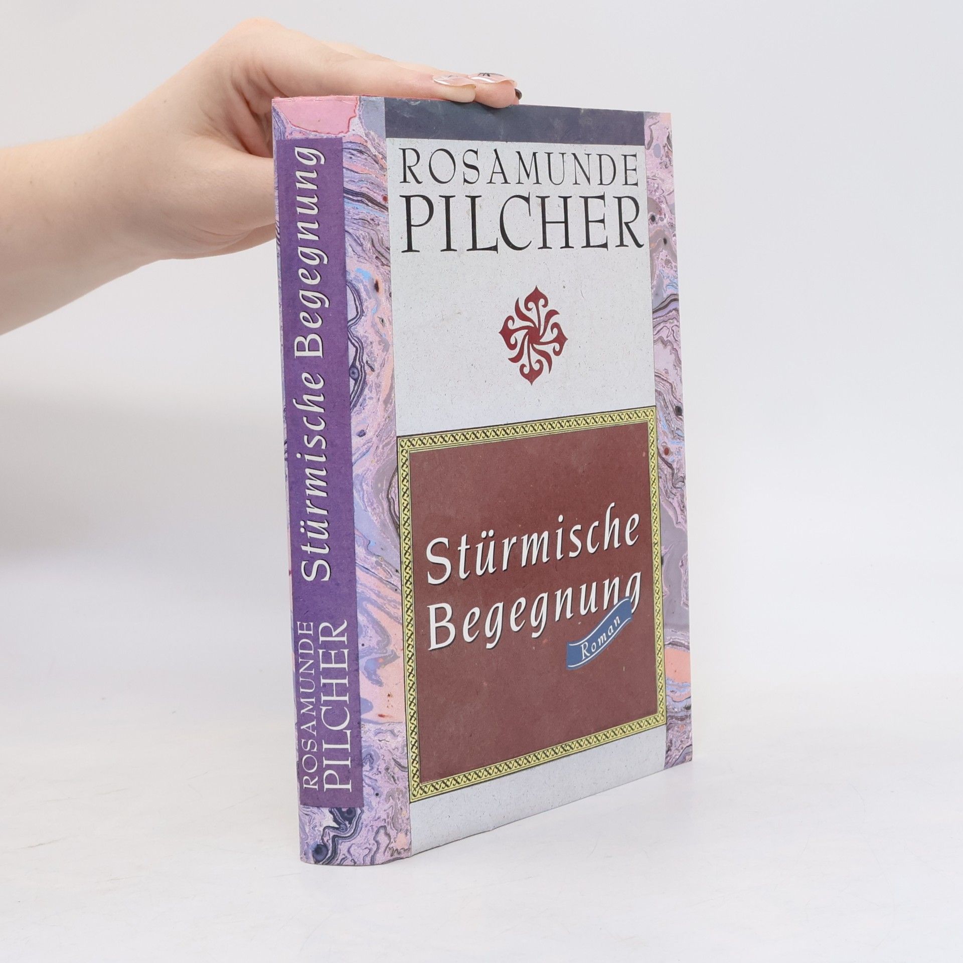 Rosamunde Pilcher Stürmische Begegnung