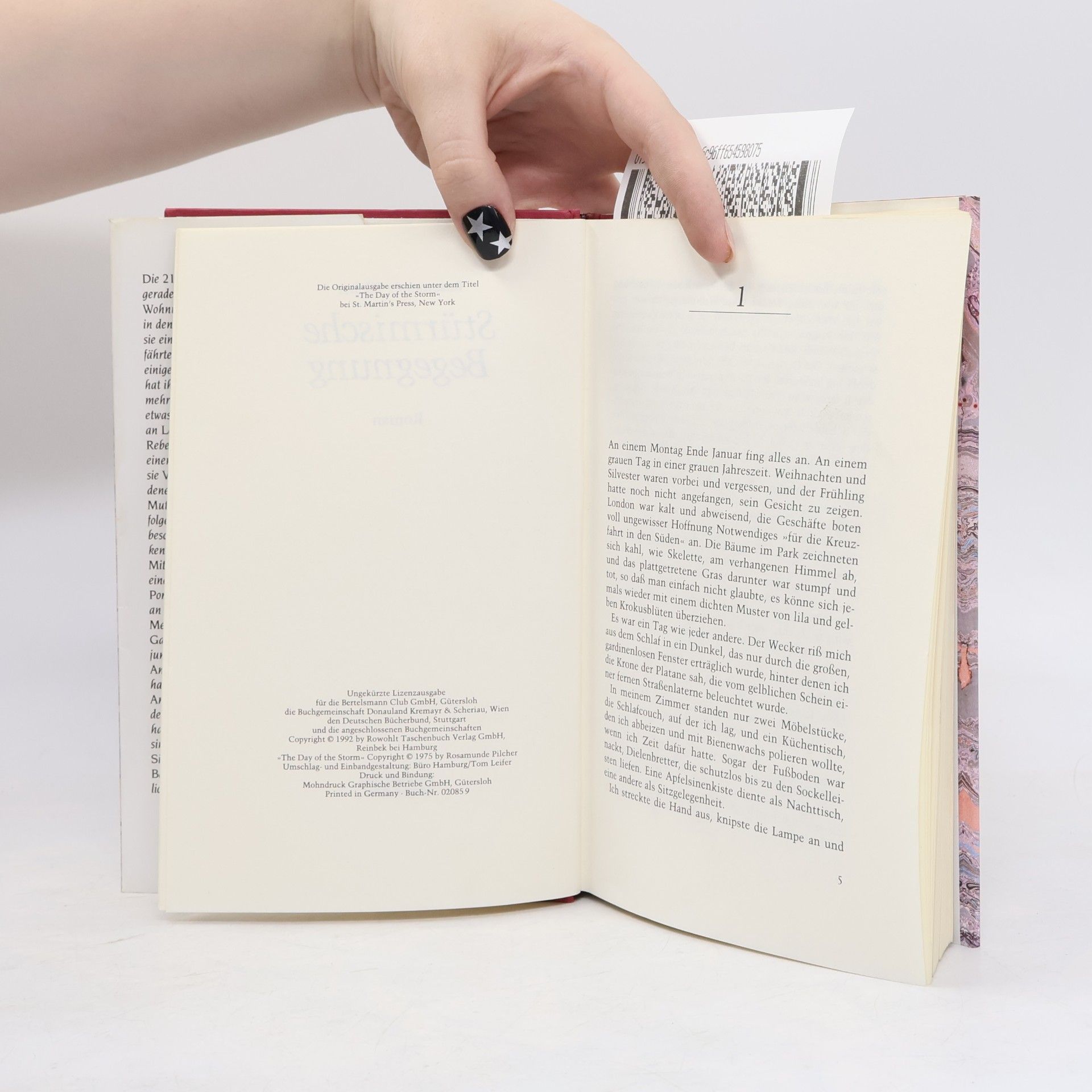 Rosamunde Pilcher Stürmische Begegnung
