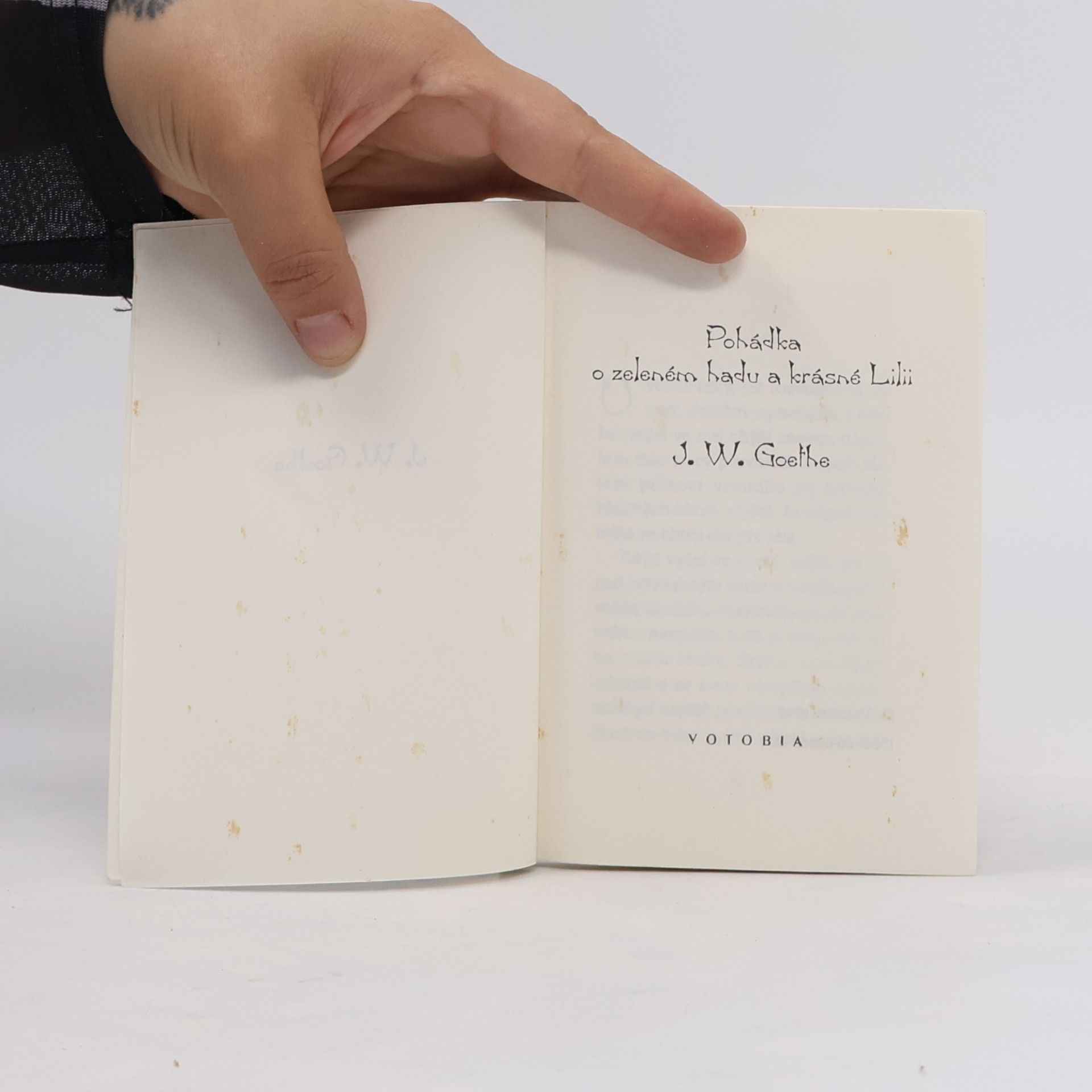 Johann Wolfgang von Goethe Pohádka o zeleném hadu a krásné Lilii