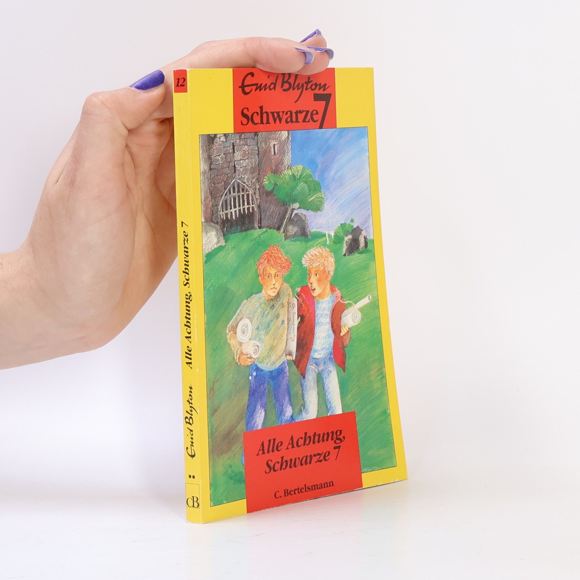 Enid Blyton Die schwarze 7