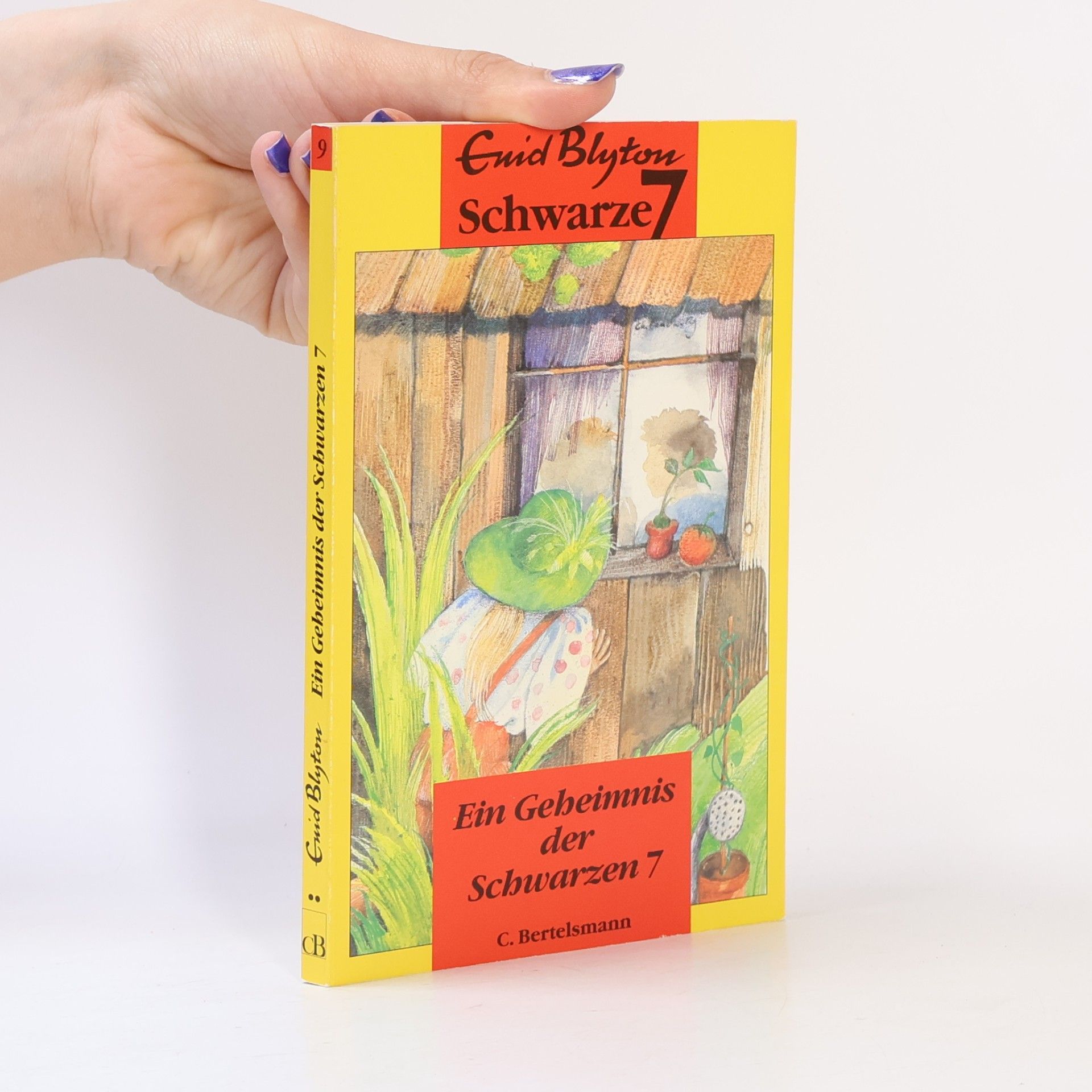 Enid Blyton Die schwarze 7