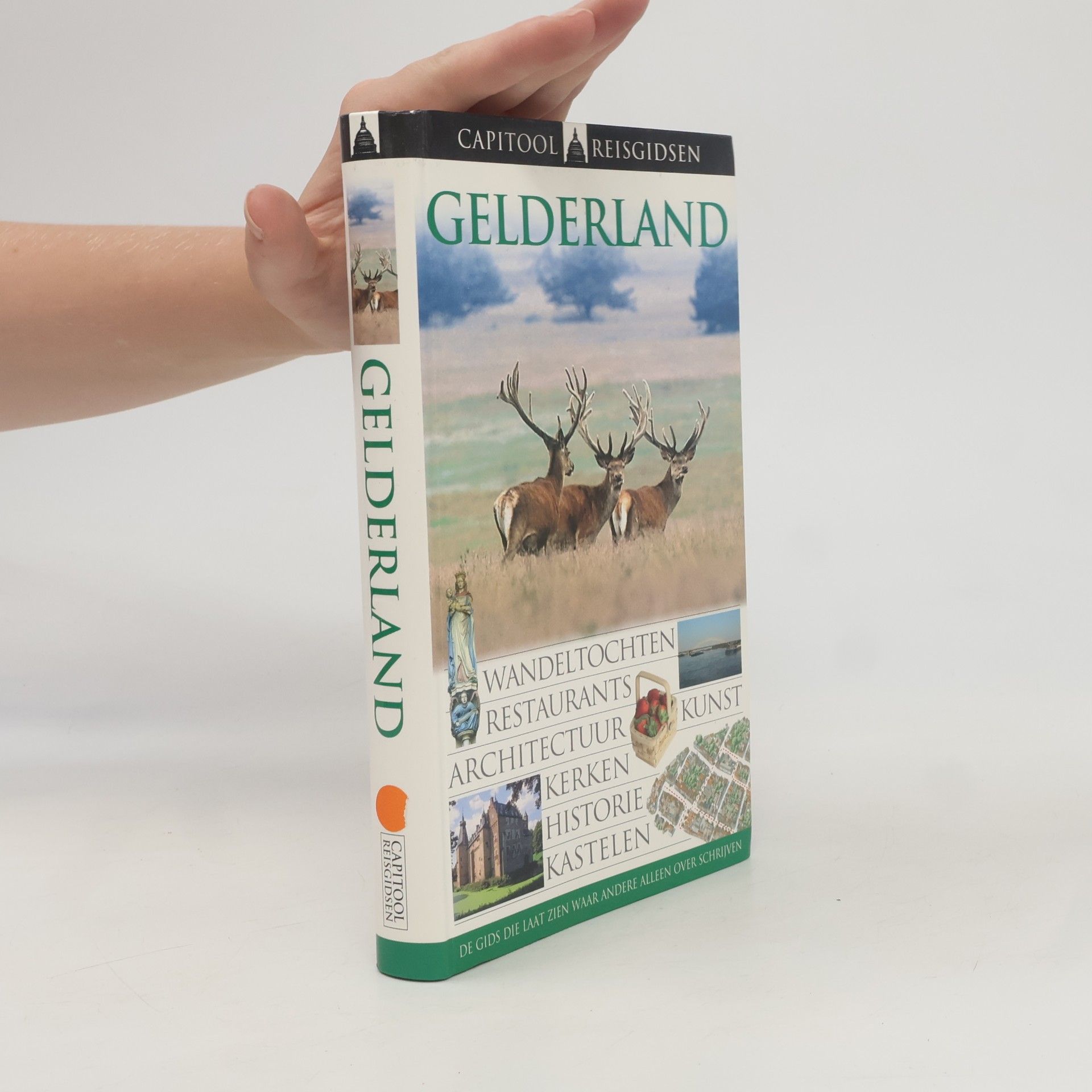 Wouter Christiaens Capitool Reisgidsen Gelderland