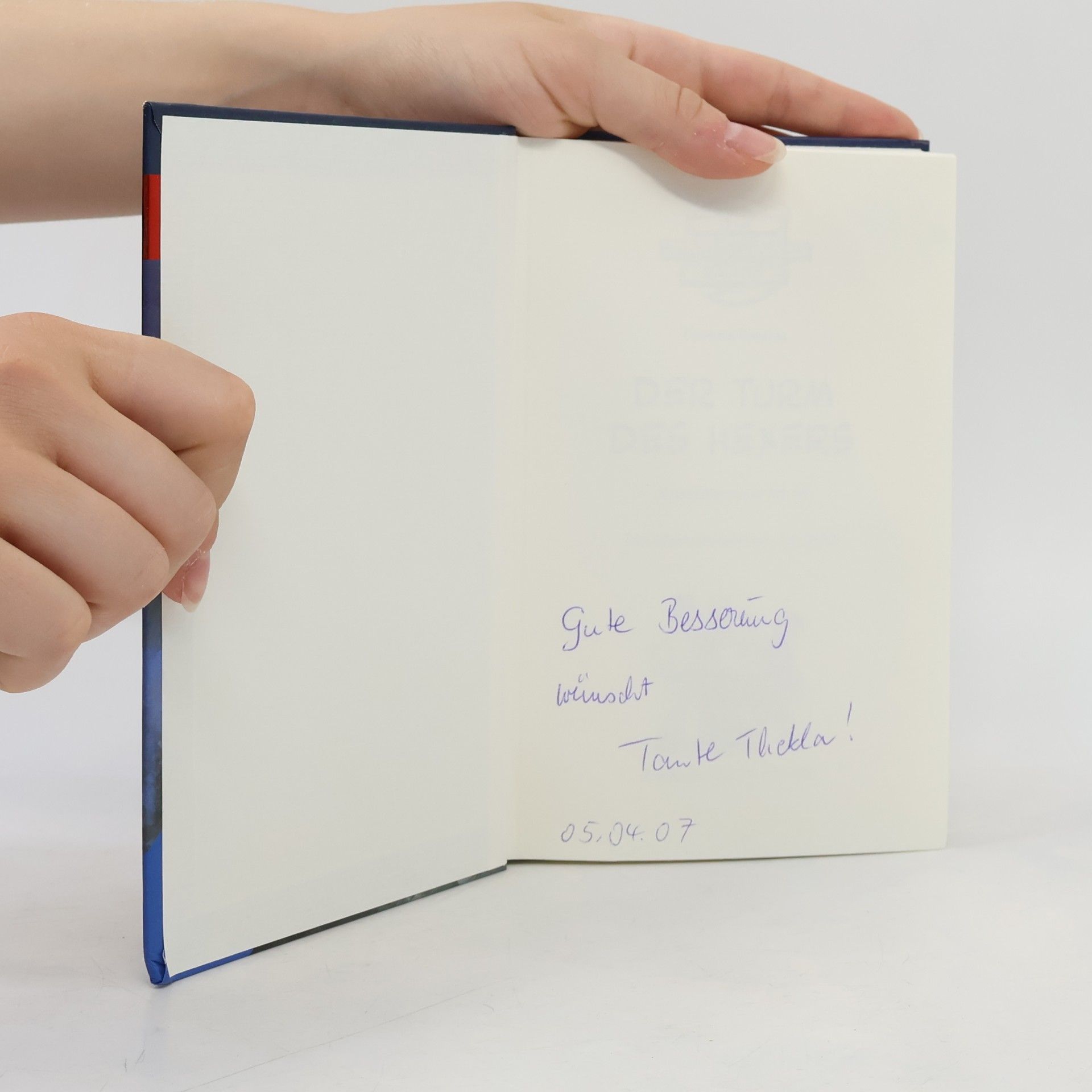Thomas Brezina Die Knickerbocker Bande 59. Der Turm des Hexers