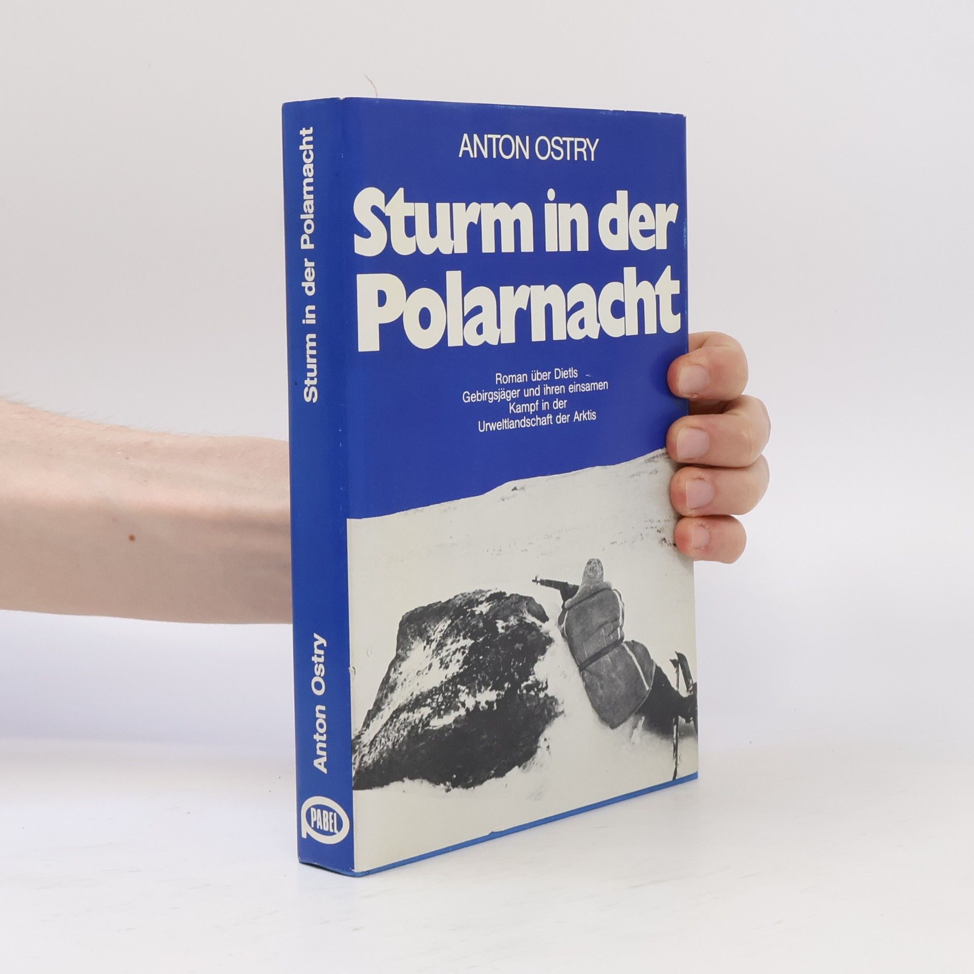 Anton Ostry Sturm in der Polarnacht