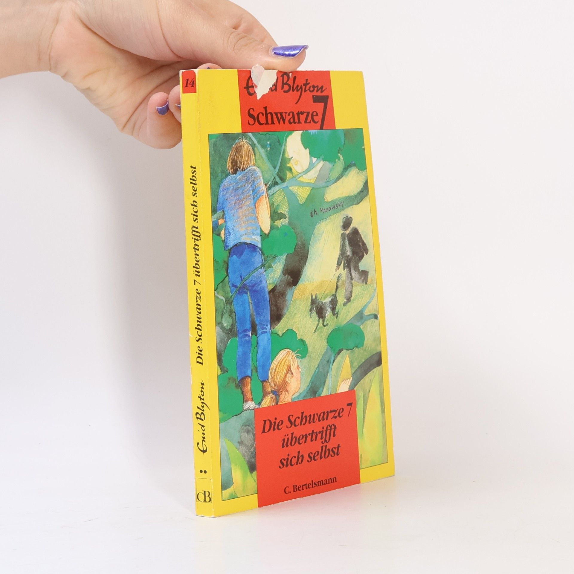 Enid Blyton Die Schwarze 7 übertrifft sich selbst