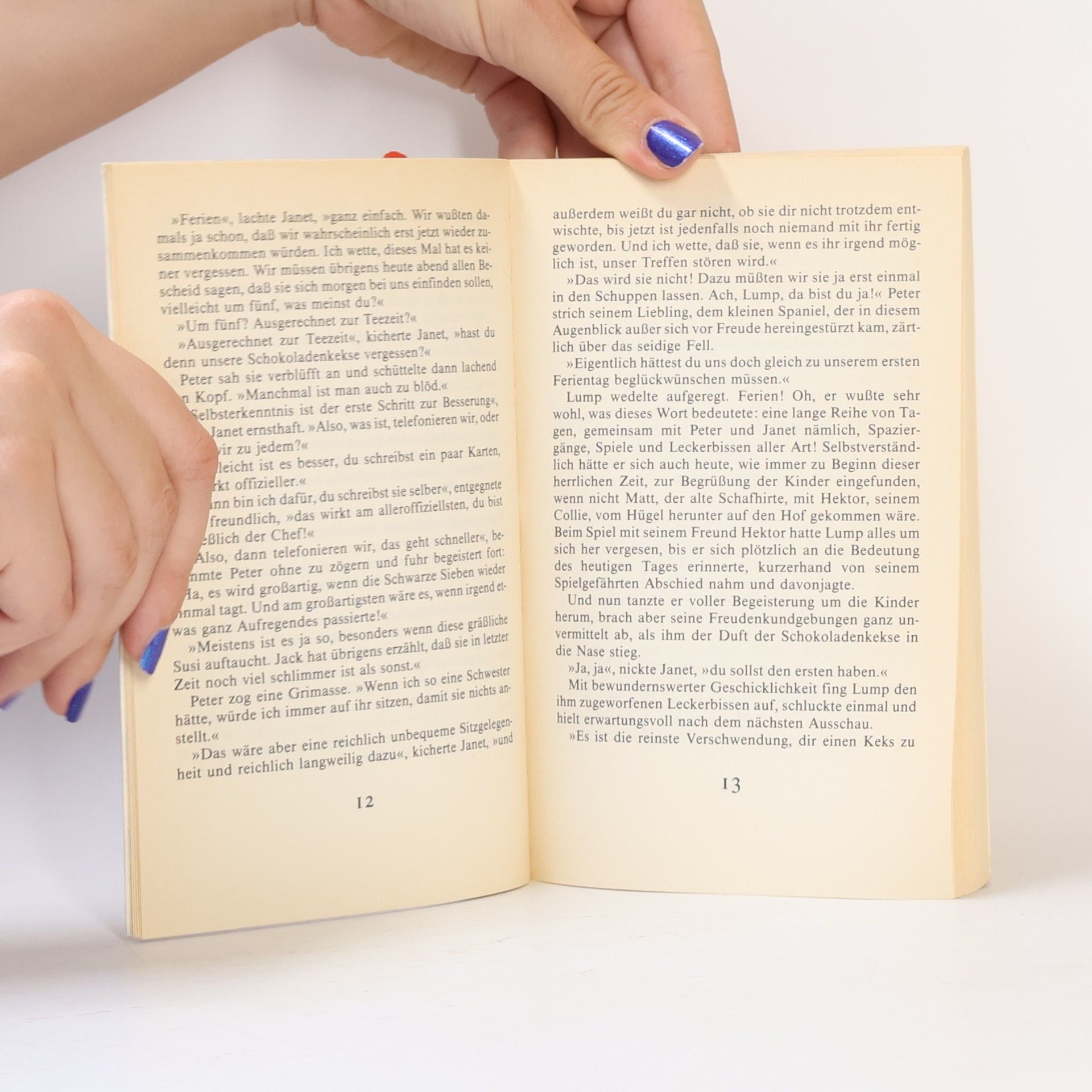 Enid Blyton Die Schwarze 7 übertrifft sich selbst
