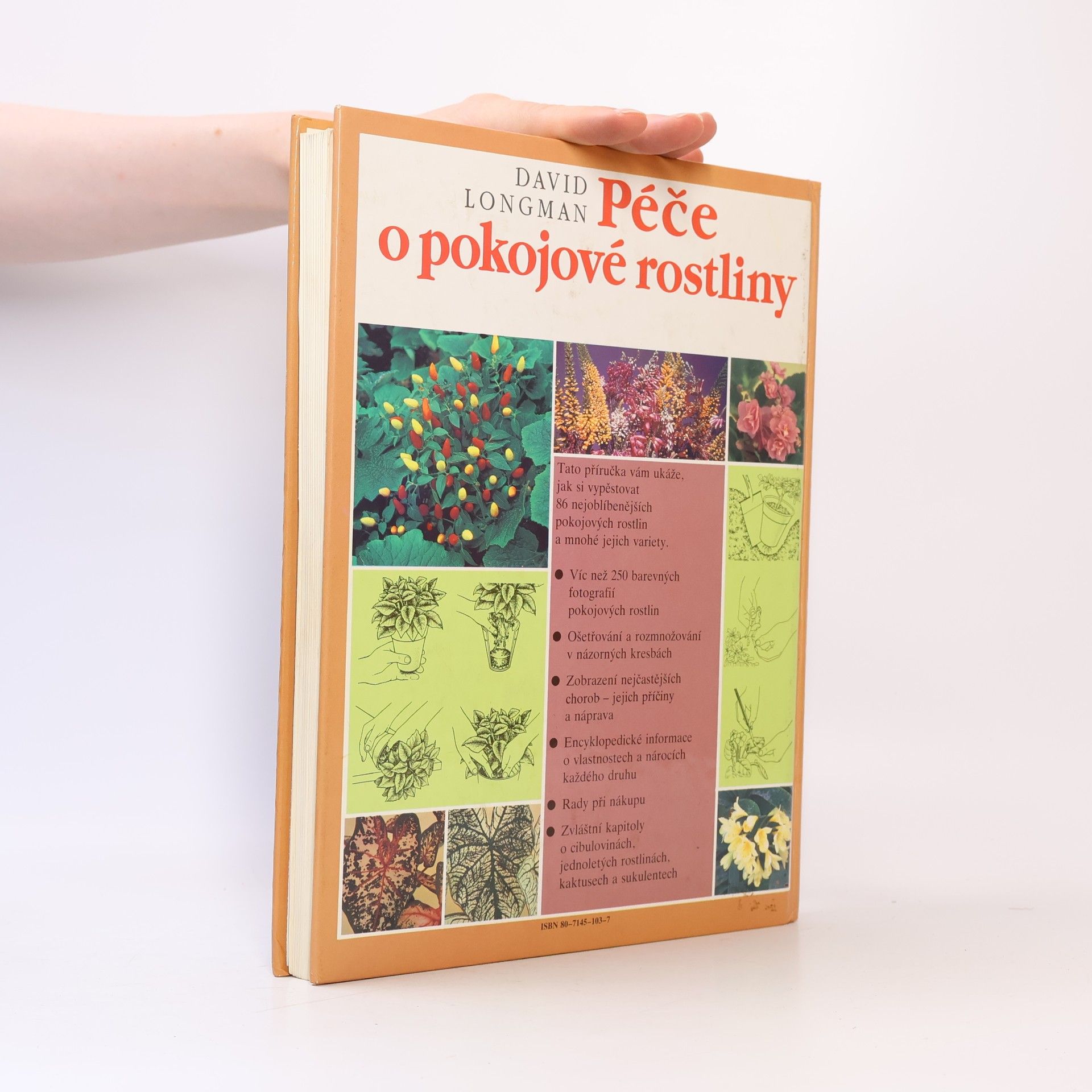David Longman Péče o pokojové rostliny