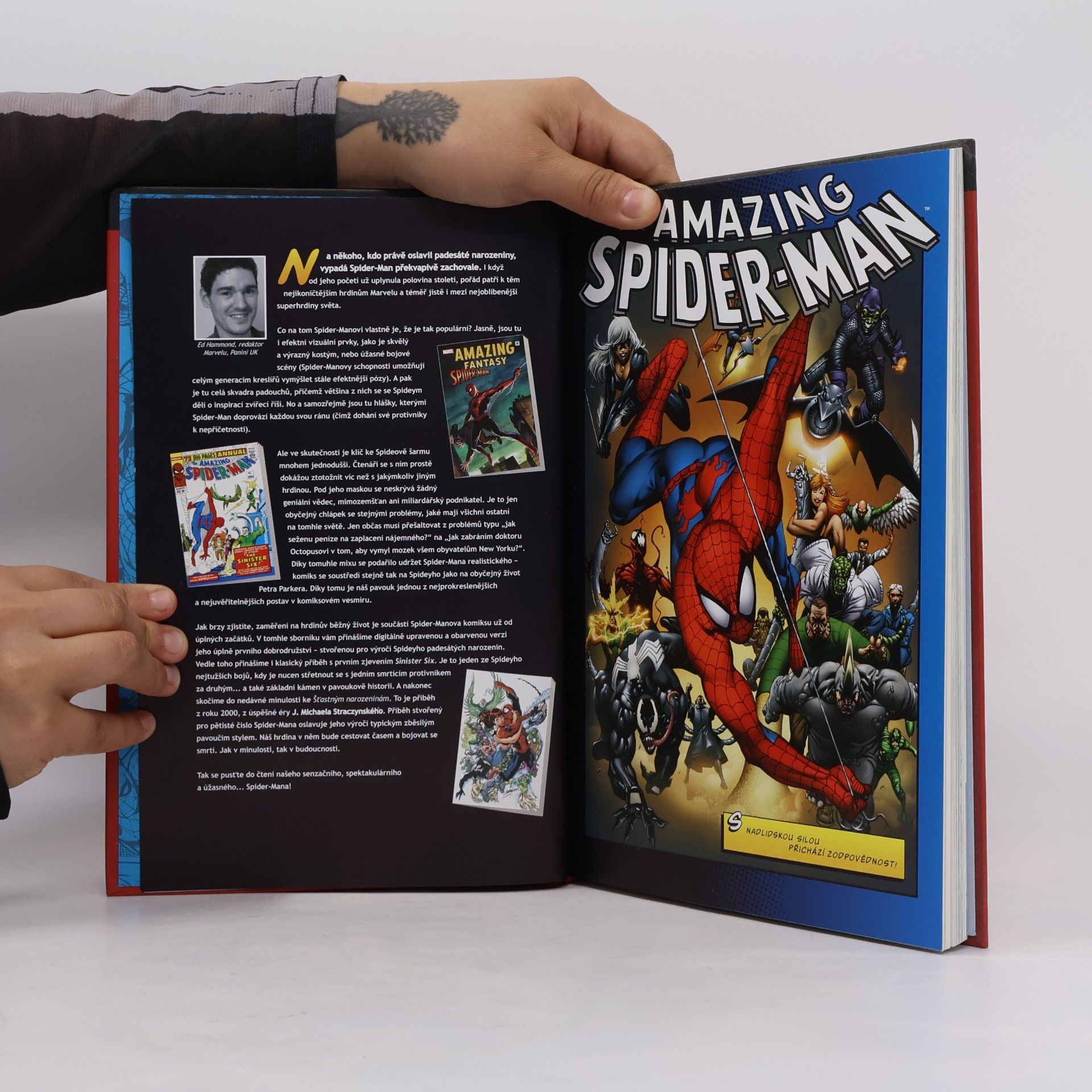 Kolektiv autorů Nejmocnější hrdinové Marvelu 2. Spider-Man