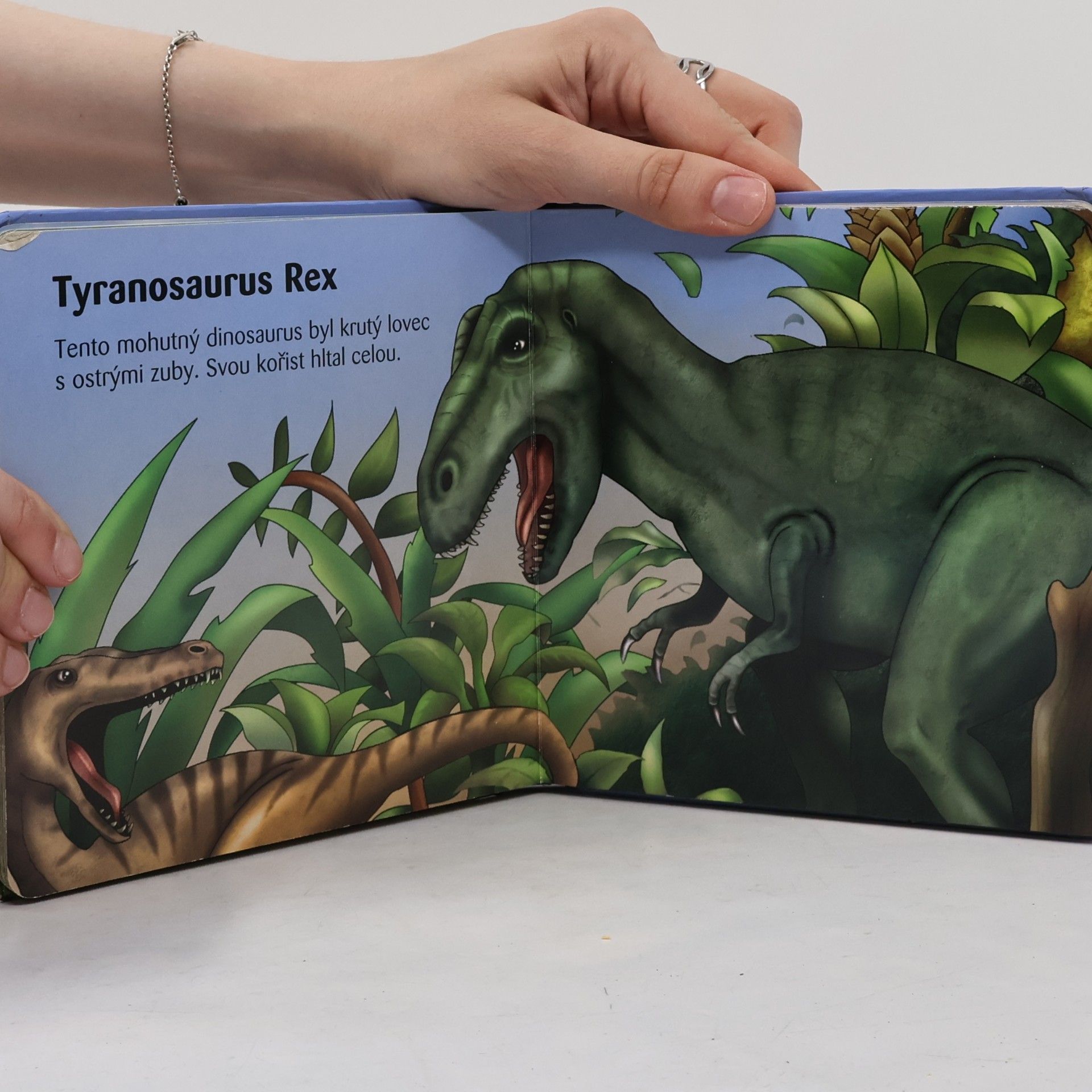 Tomáš Novotný Moje malá knížka o dinosaurech