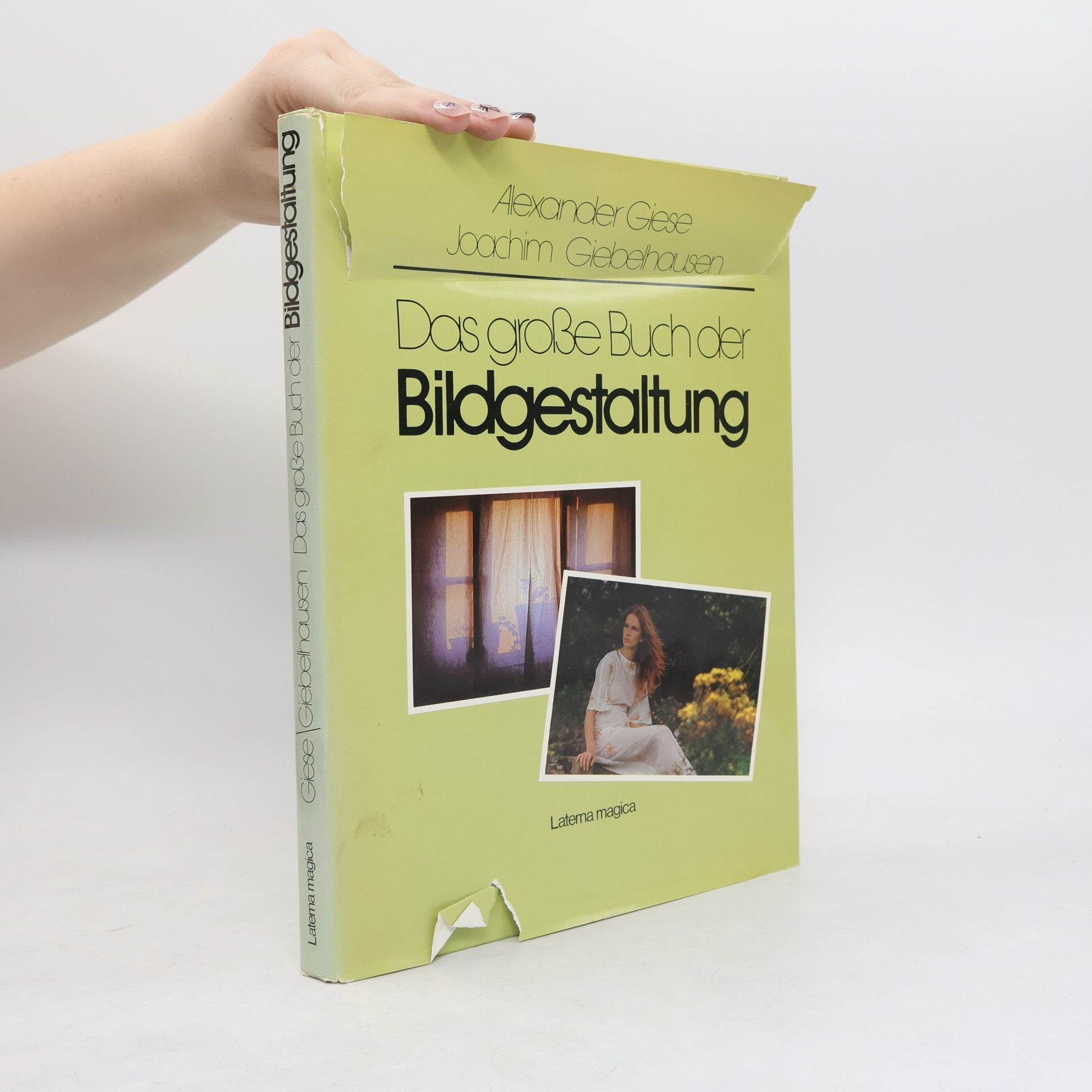 Alexander Giese Das grosse Buch der Bildgestaltung
