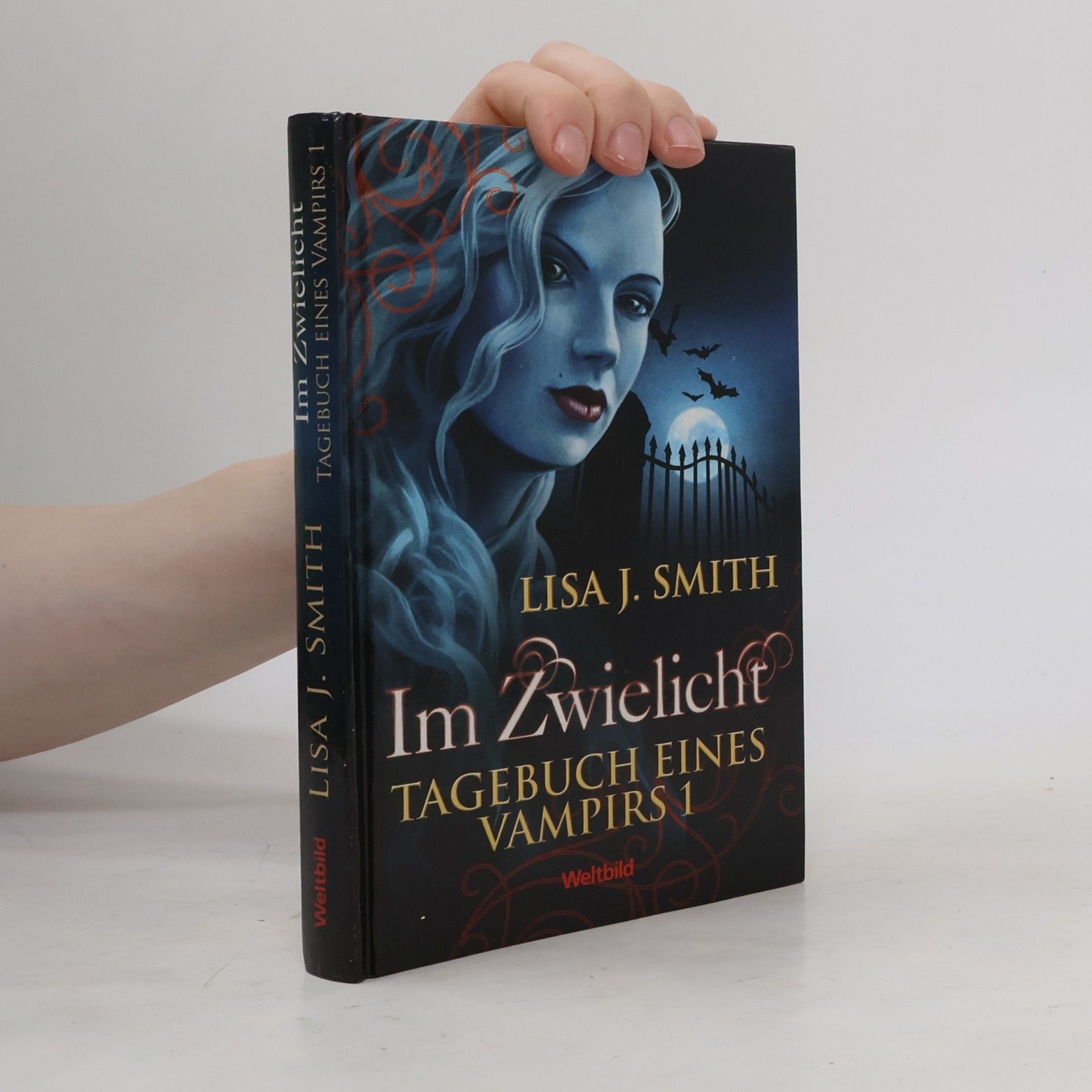 Tagebuch eines Vampirs 1. Im Zwielicht