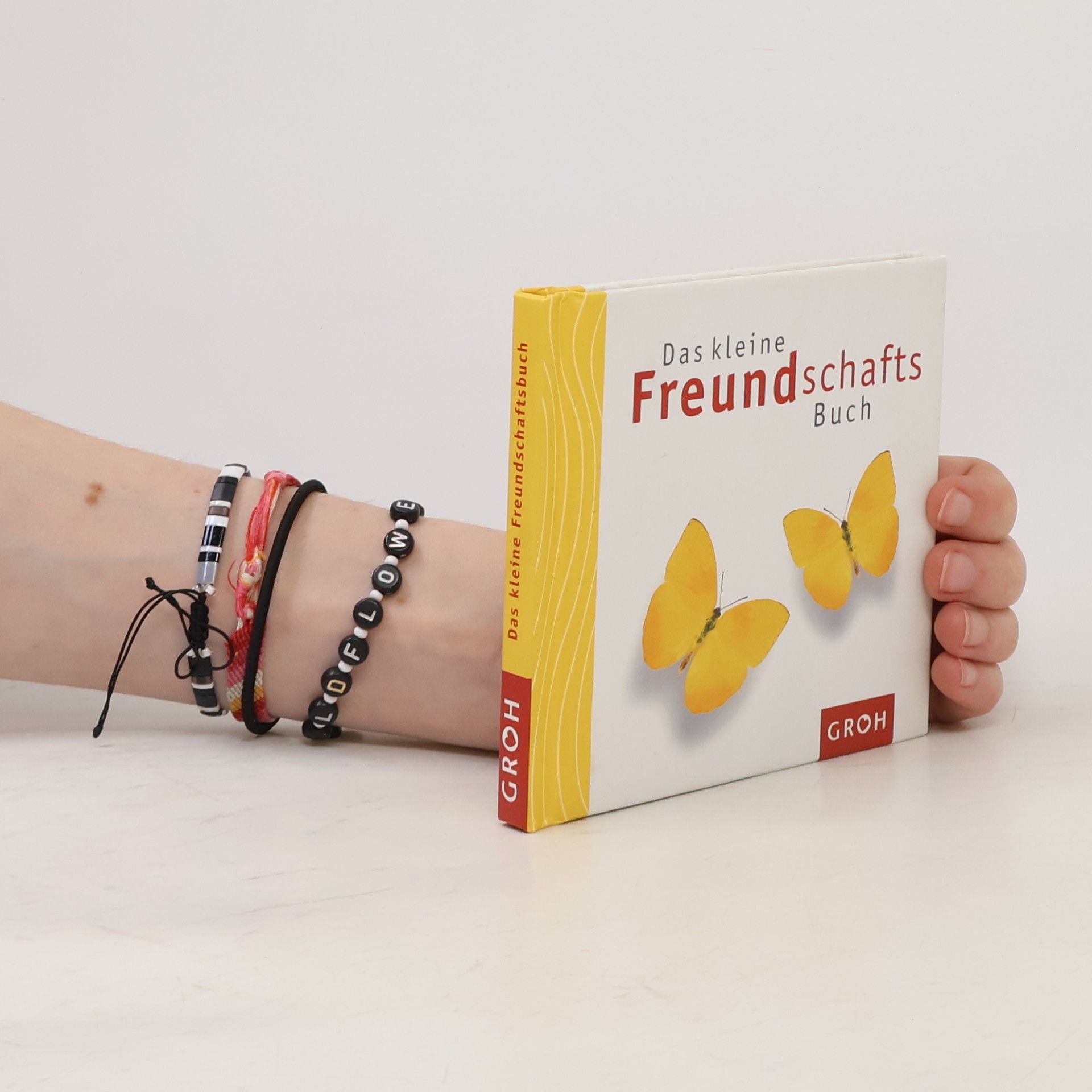 Kolektiv autorů Das kleine Freundschafts Buch
