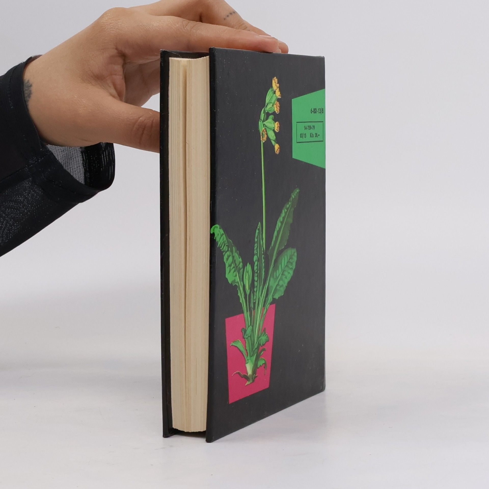 Otto Ušák Kapesní atlas rostlin
