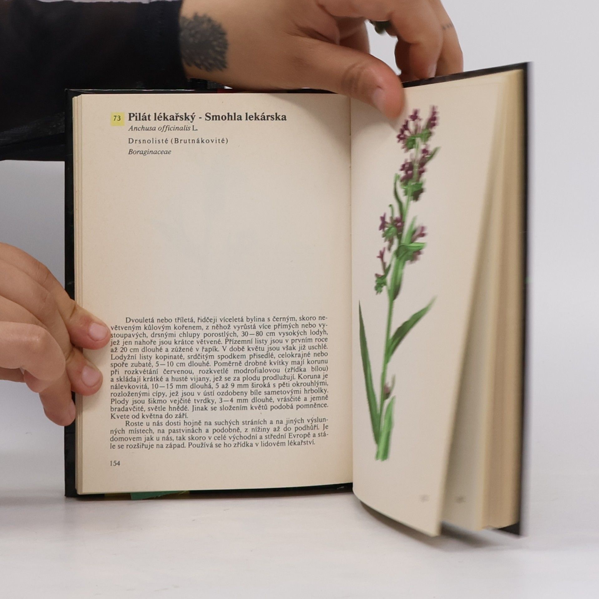 Otto Ušák Kapesní atlas rostlin