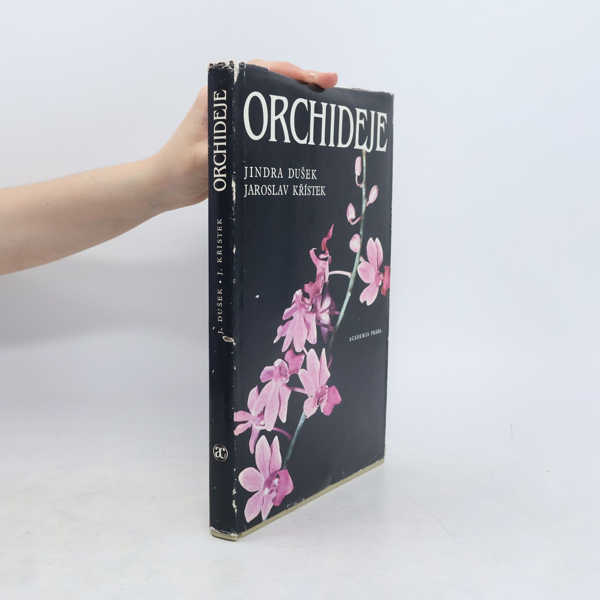 Jindra Dušek Orchideje