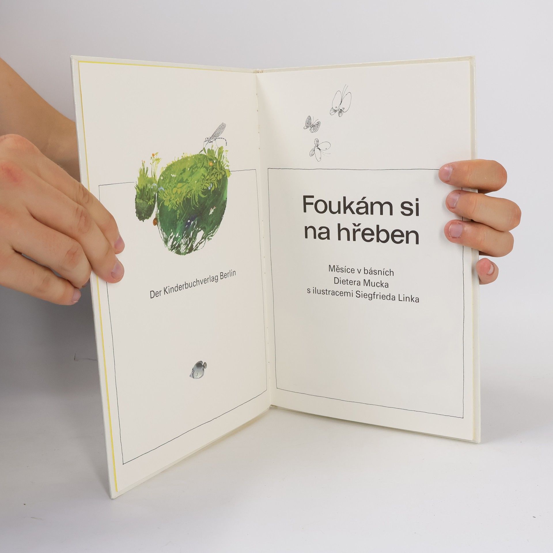 Dieter Mucke Foukám si na hřeben
