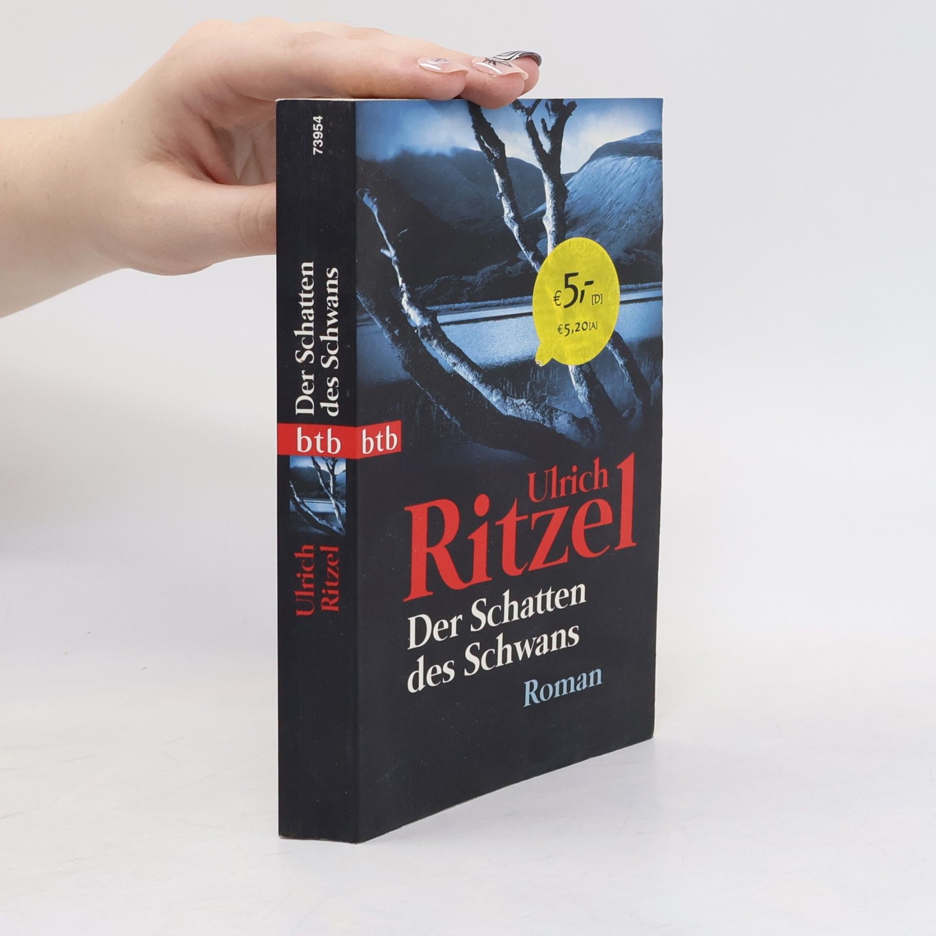 Ulrich Ritzel Der Schatten des Schwans