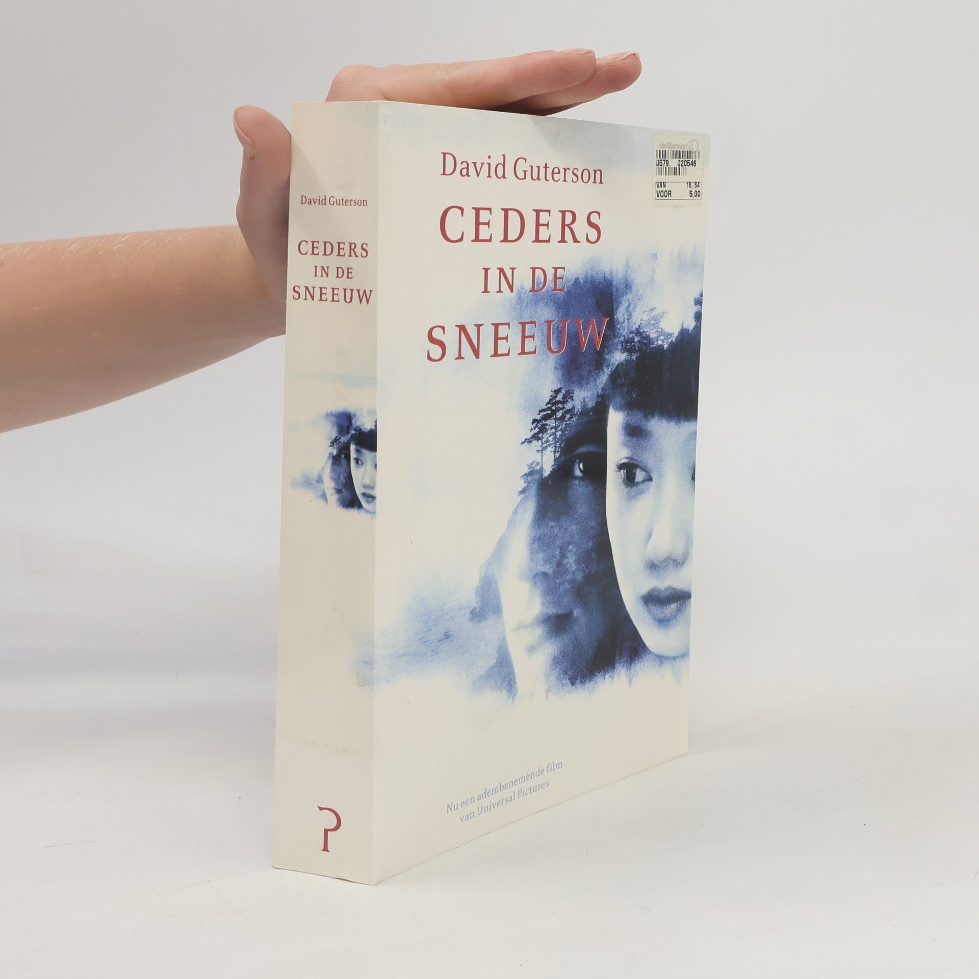 Aad van der Mijn Ceders in de sneeuw