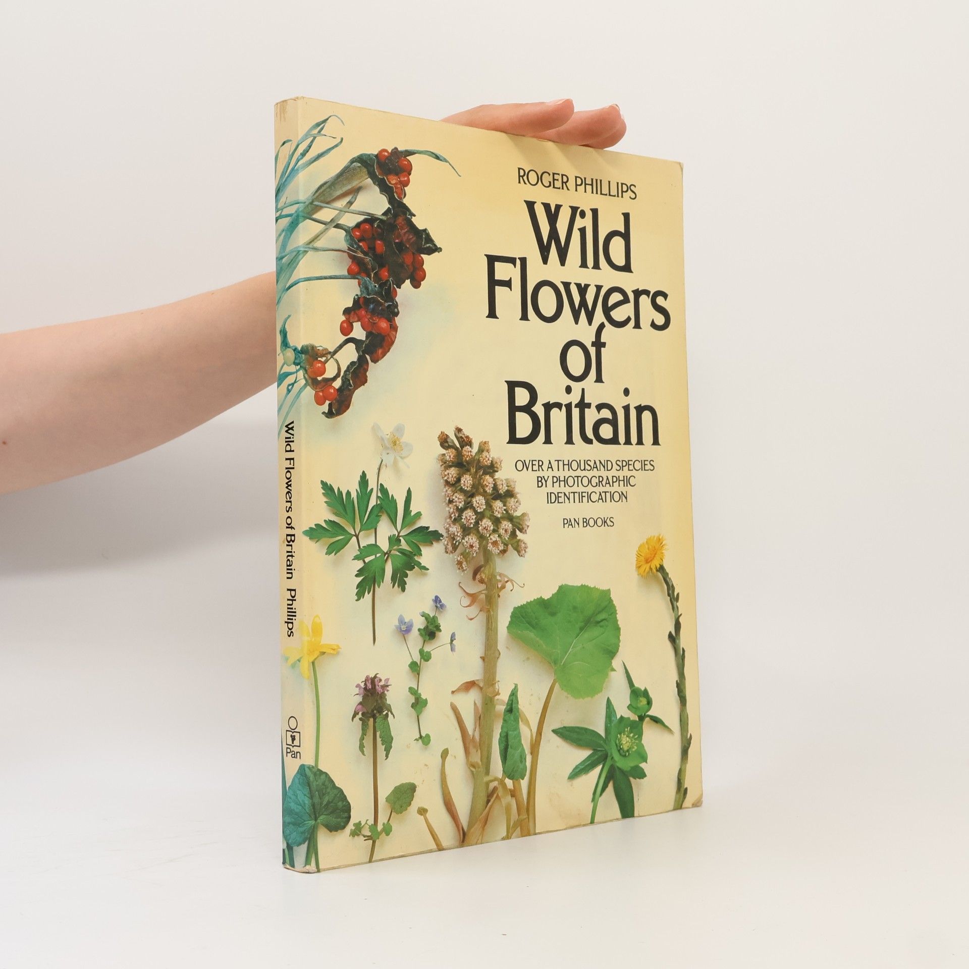 Sheila Grant Wild Flowers of Britain