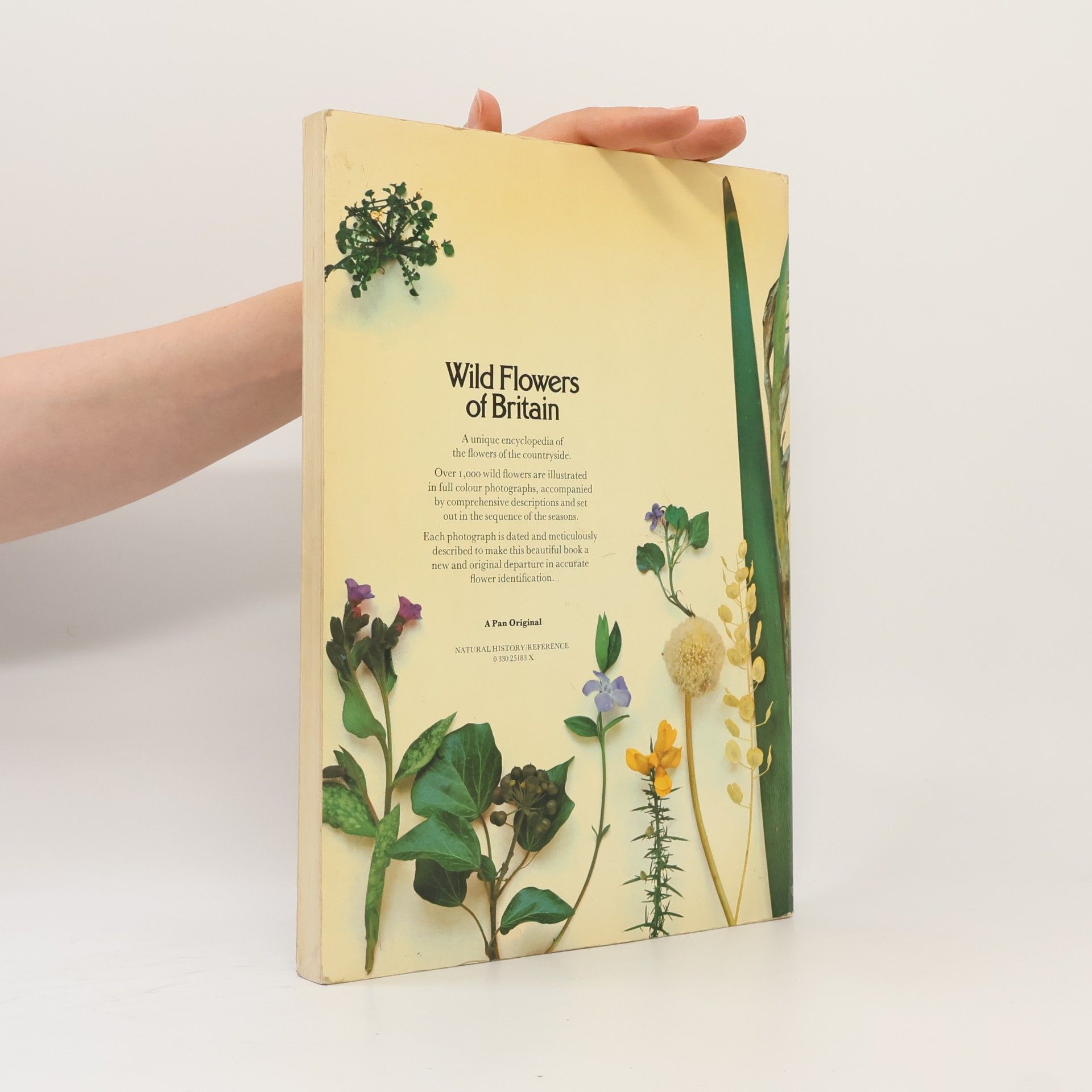 Sheila Grant Wild Flowers of Britain